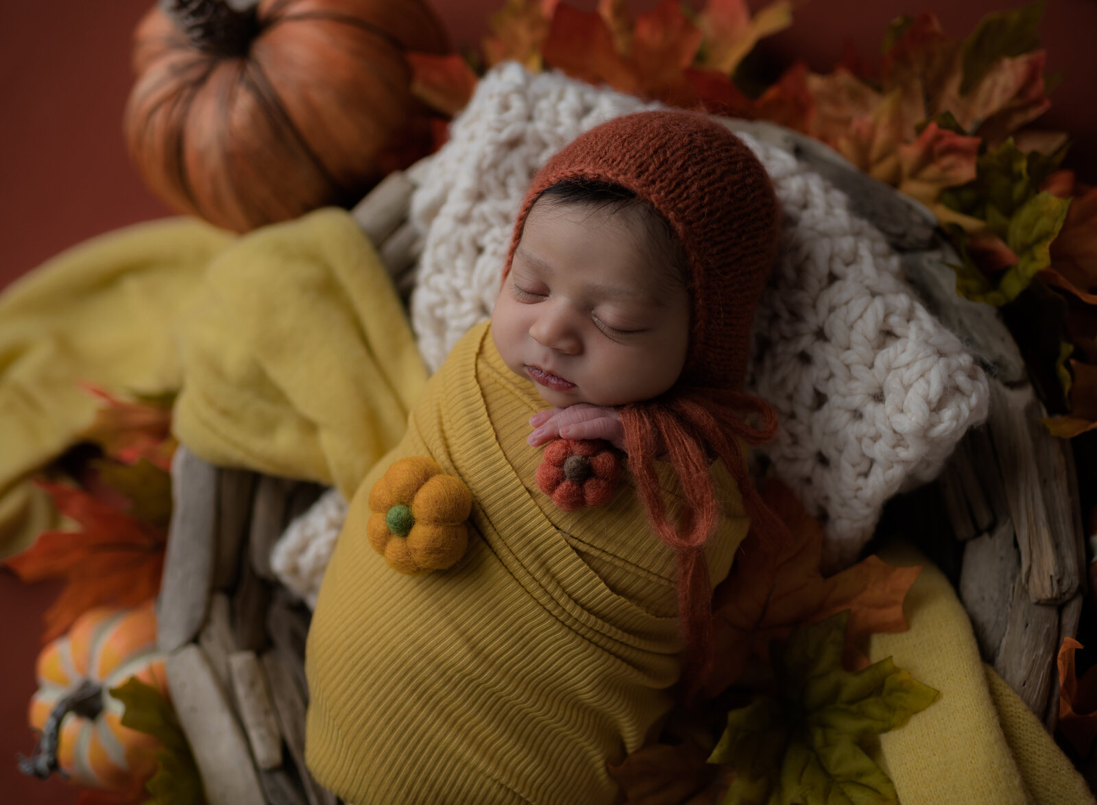 fall newborn photos