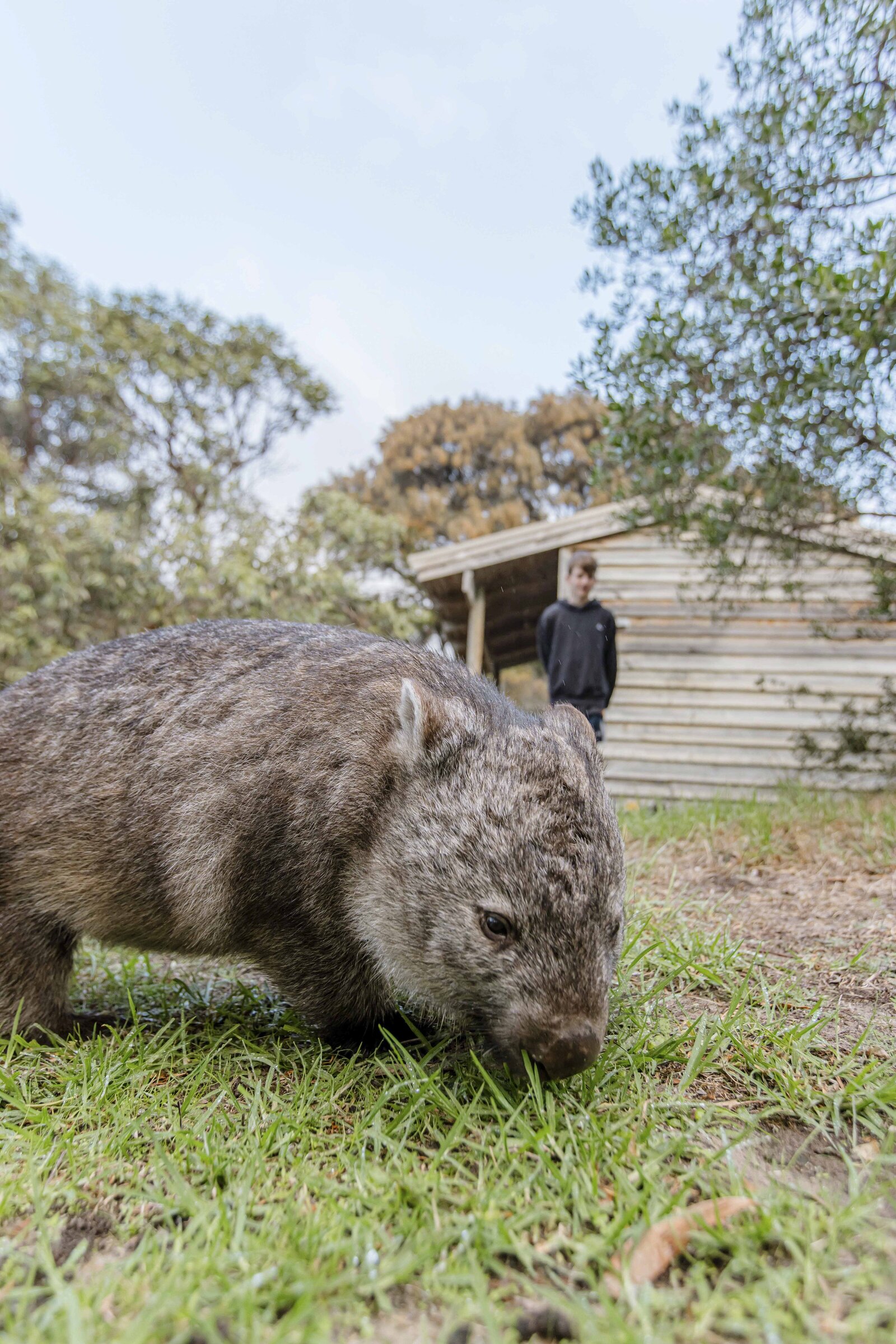 Australian Content Creator_3