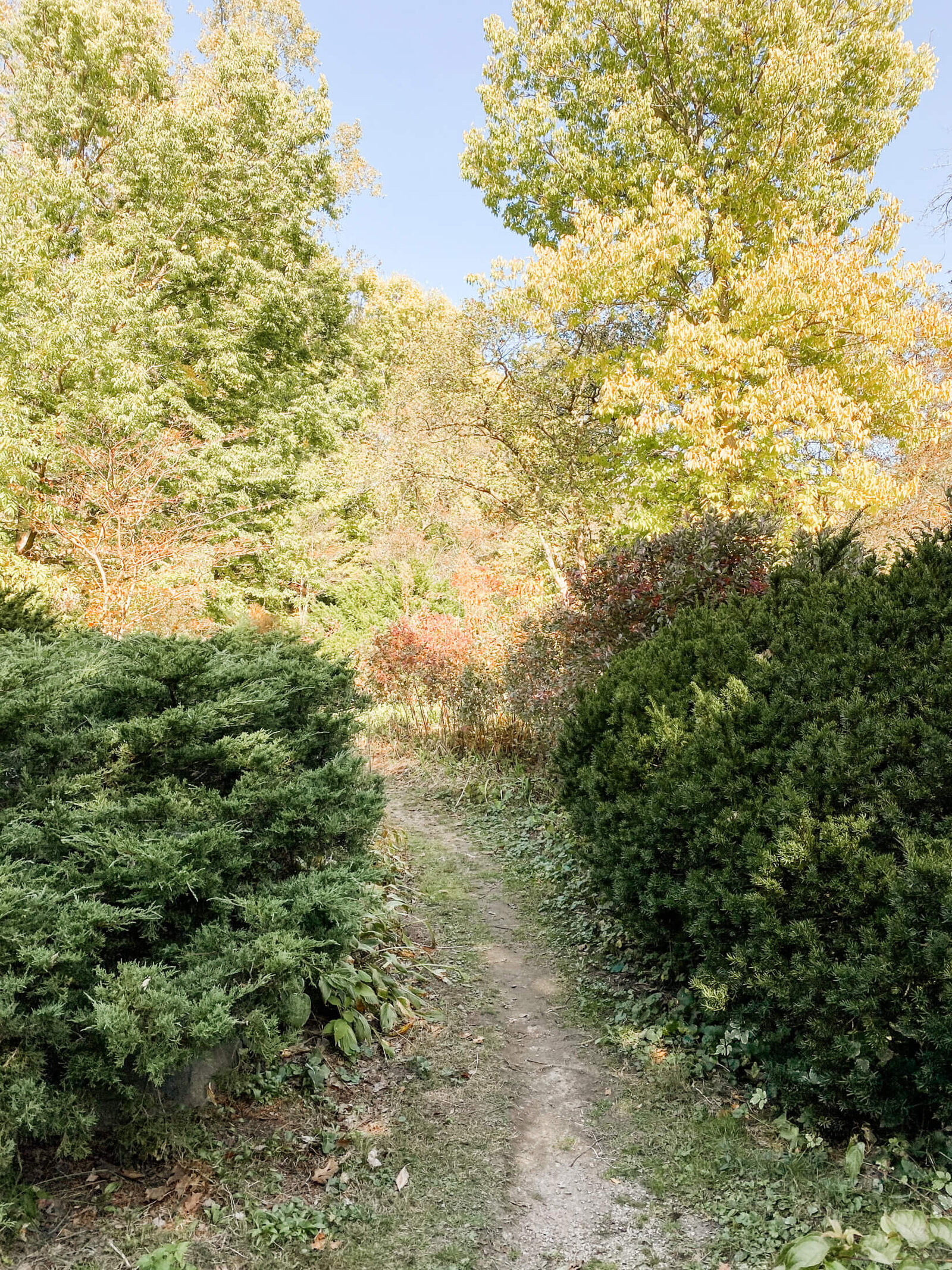 Westmorland-7