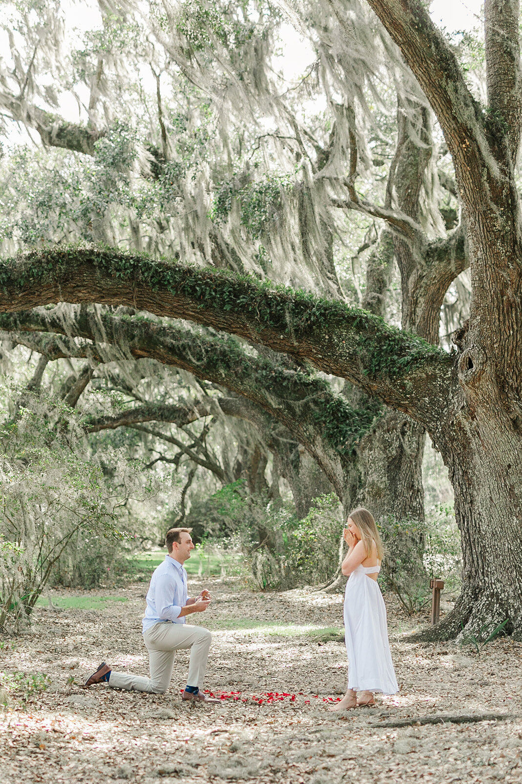 Paxton & Hayden Charleston Proposal 2025 Laura and Rachel Photography-6_websize