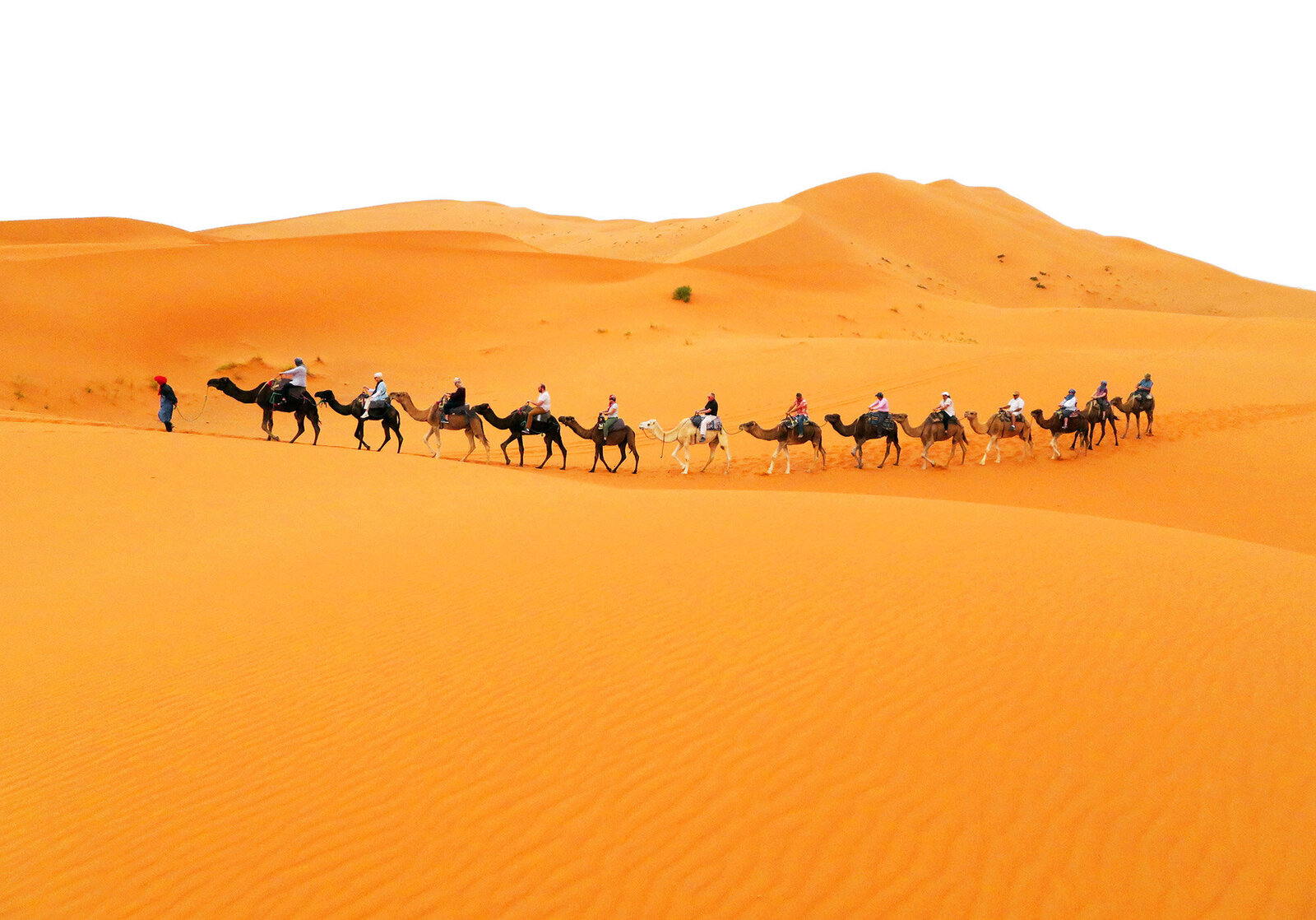 artsy-expat-riding-camels-sahara-desert-merzouga-morocco-africa-travel