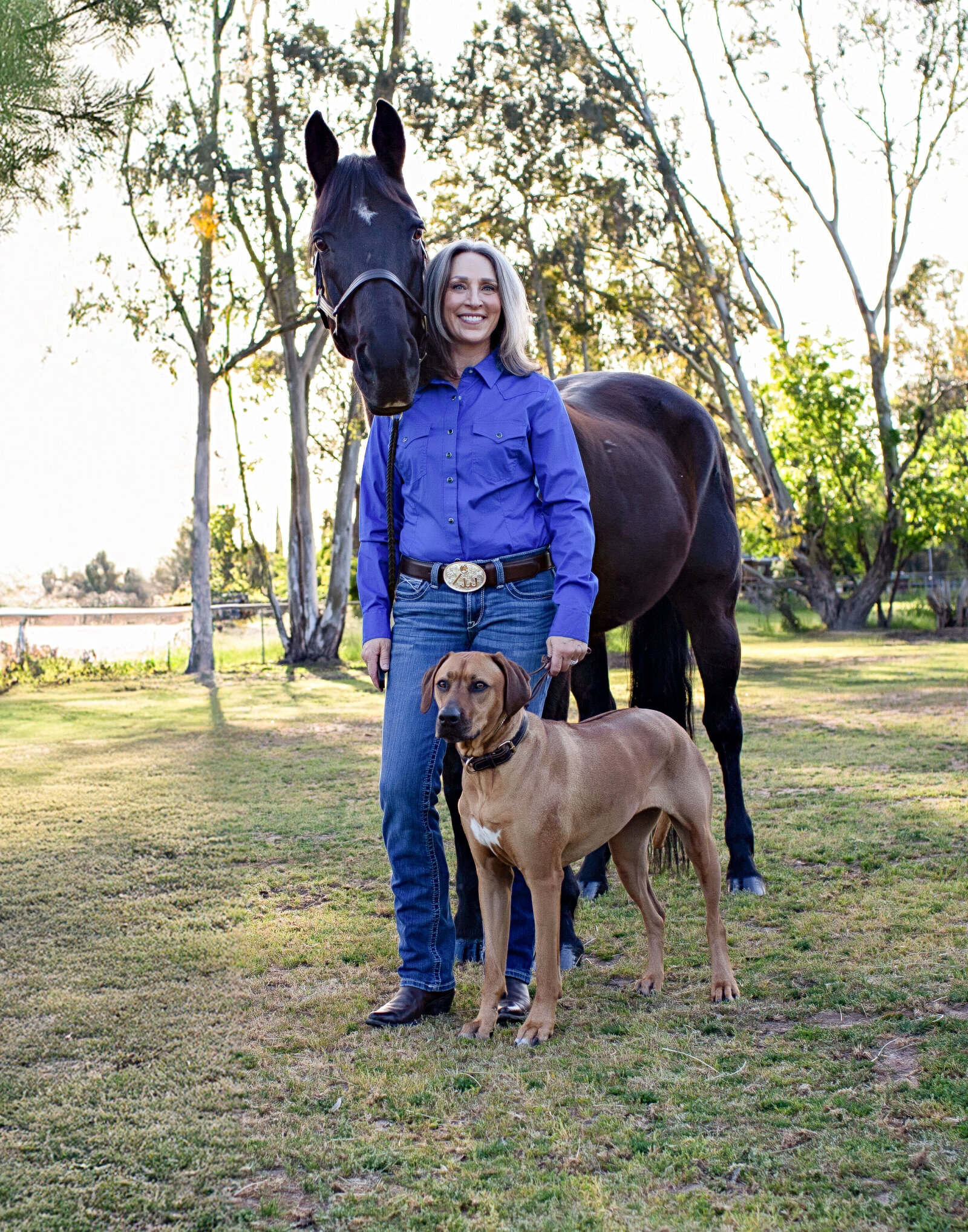 Northern California Equine Portraits