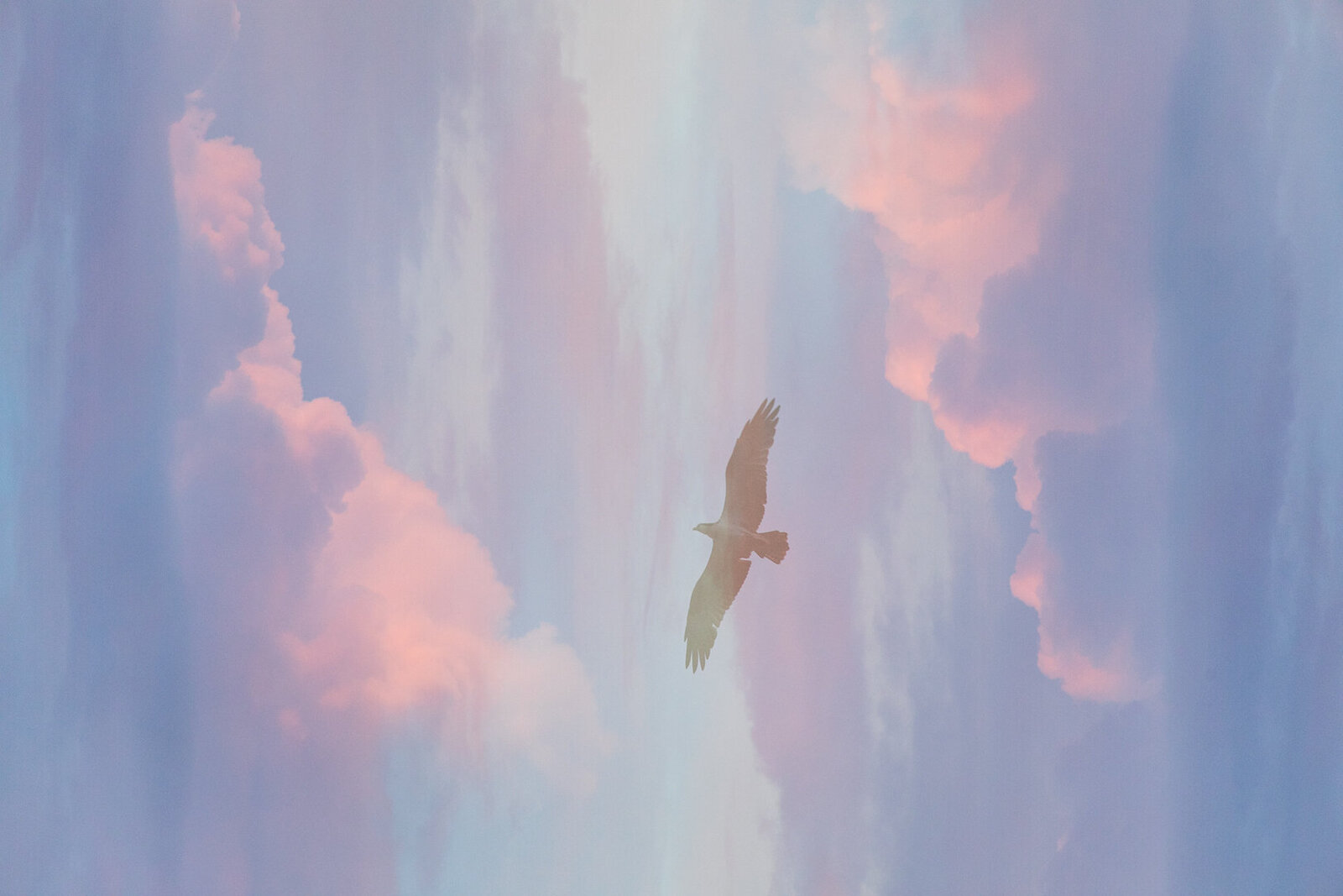 ZOEjourneyNUBES-9