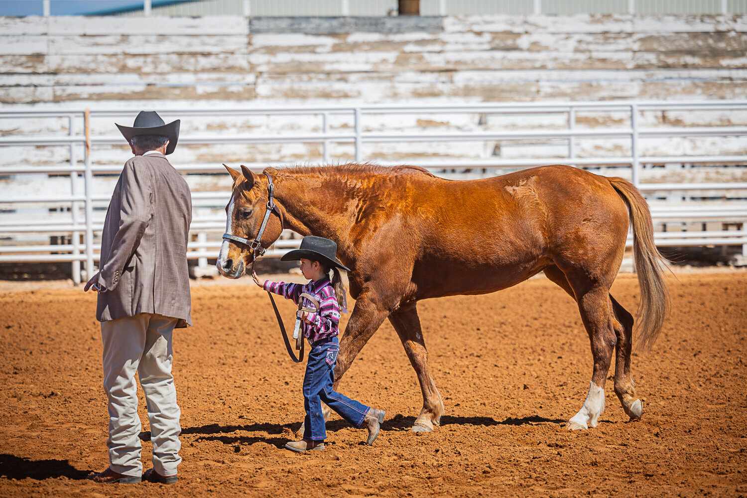 New-Mexico-Horse-Show-Photographer-035