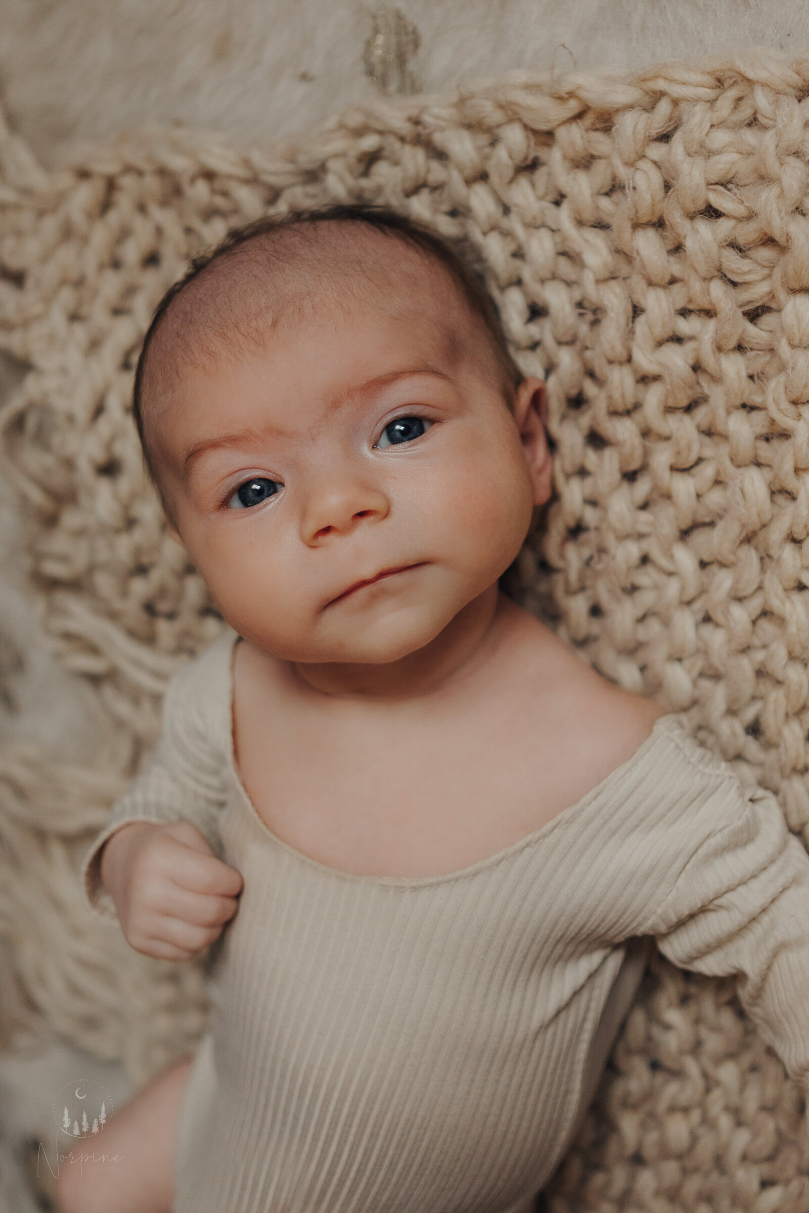 a newborn girl laying on her back, with the camera angled. She is wearing a white long sleeved onesie and is making eye contact with the camera. She has reddish brown hair and eyebrows. Image taken and watermarked by norpine photography of northern michigan