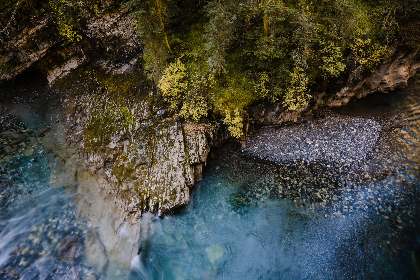 Banff_Jasper_National_Park_Sasha_Reiko_Photography-19