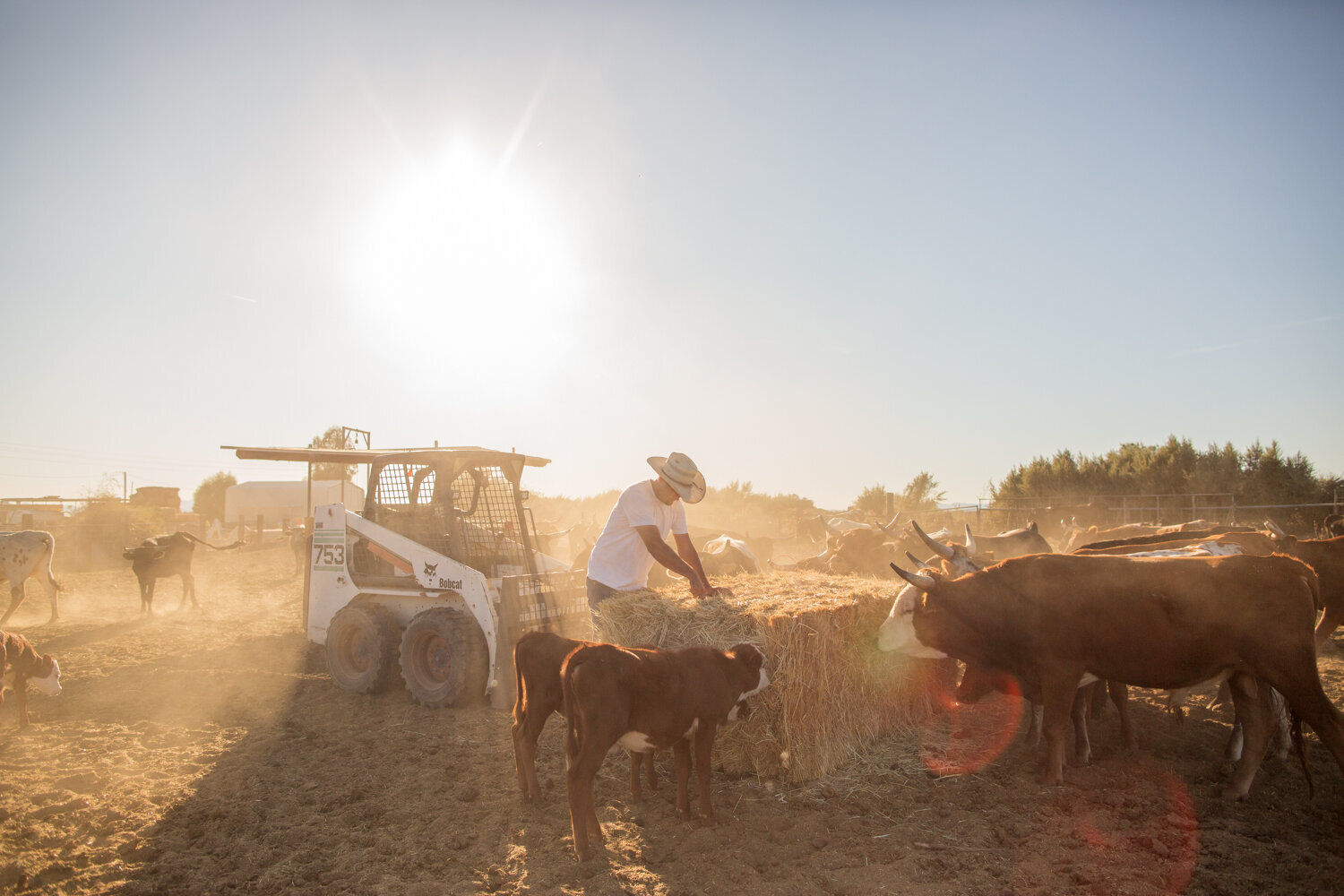 055FarmCreditWestWillowRanchFullyAlivePhotography2019web