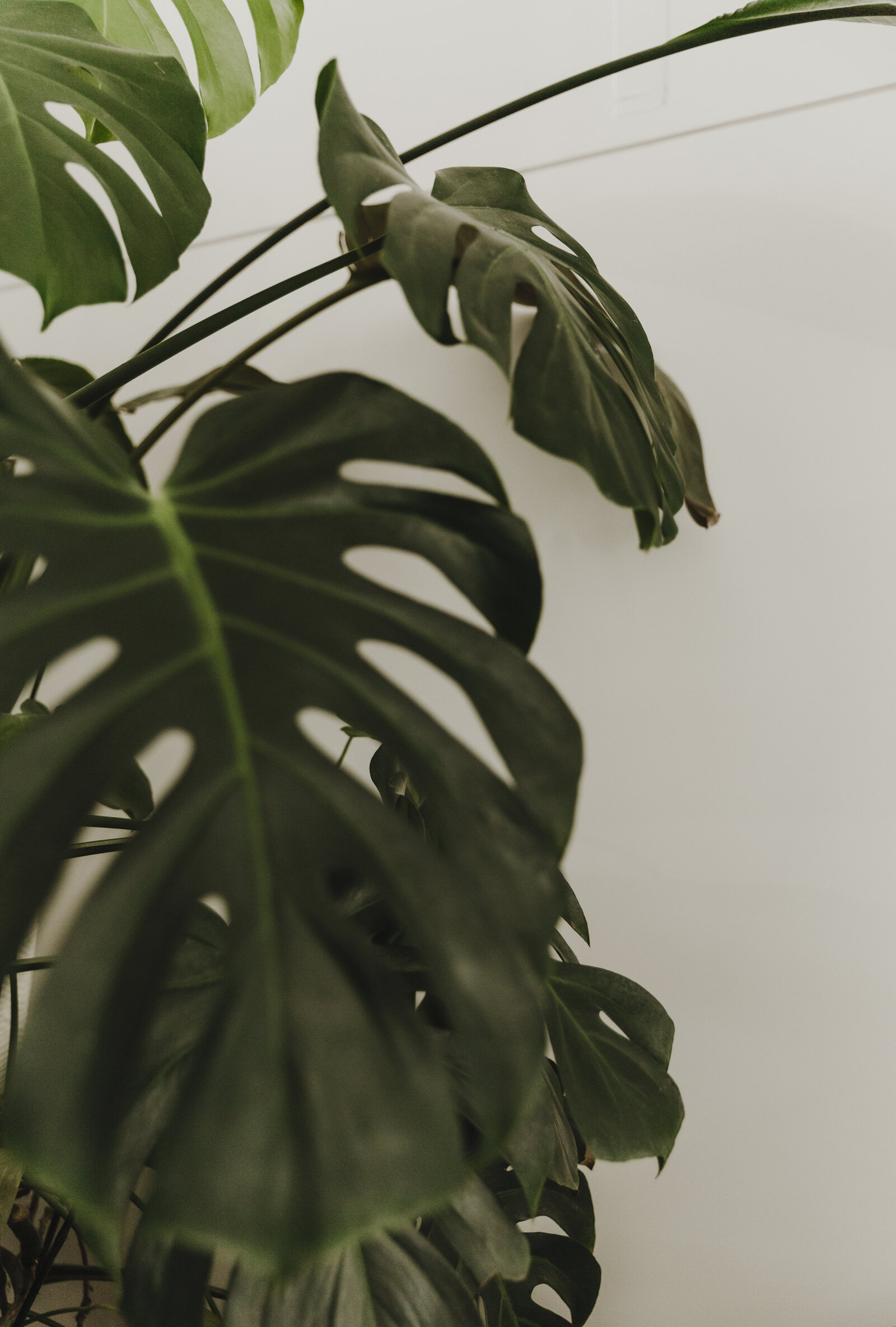 02092025_CurateSalon-19