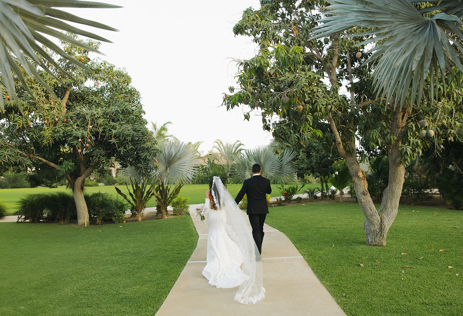 julia-brett-loscabos-wedding-291_websize