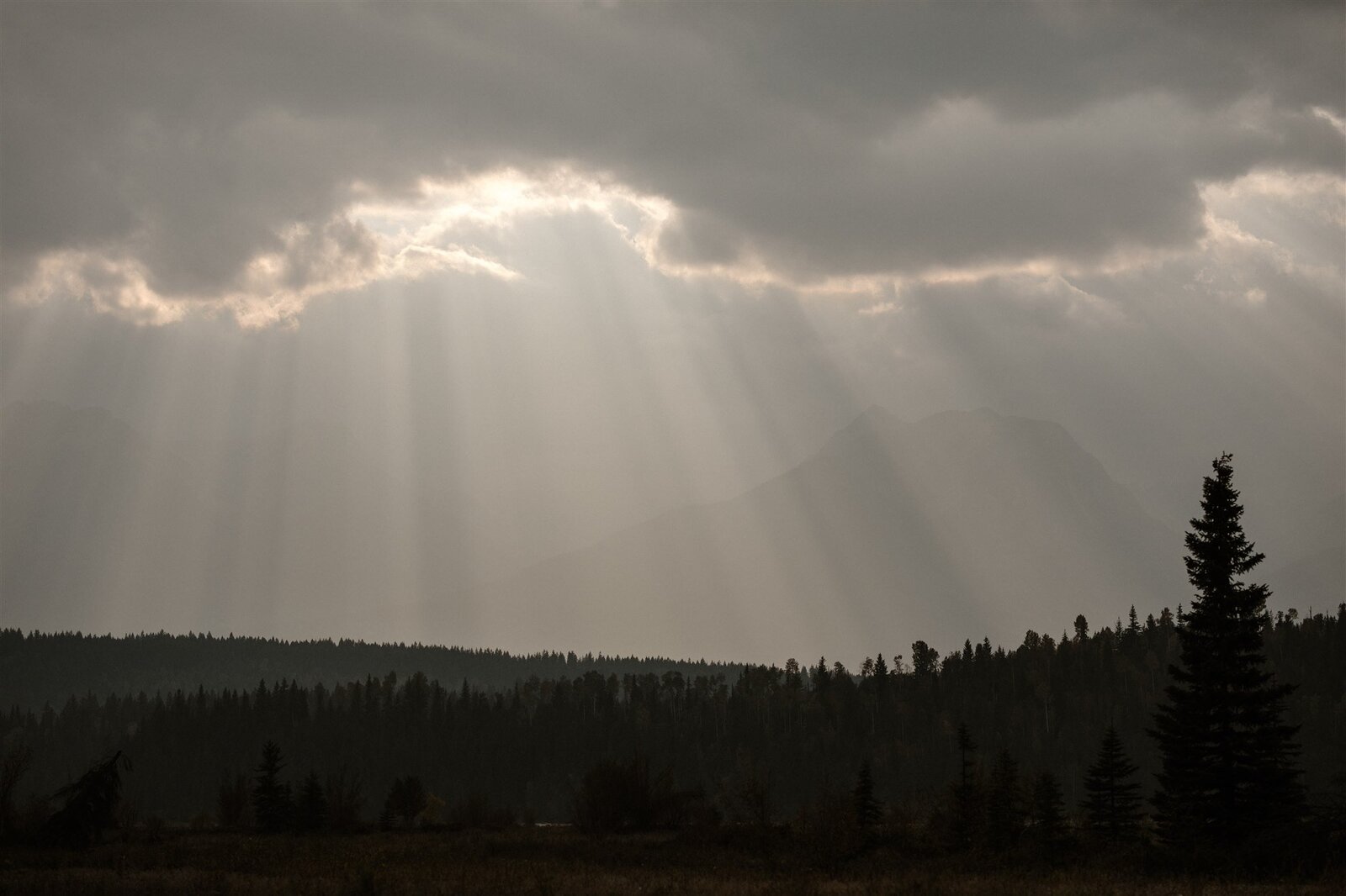 Golden-BC-Rockies-Wedding-ER-285