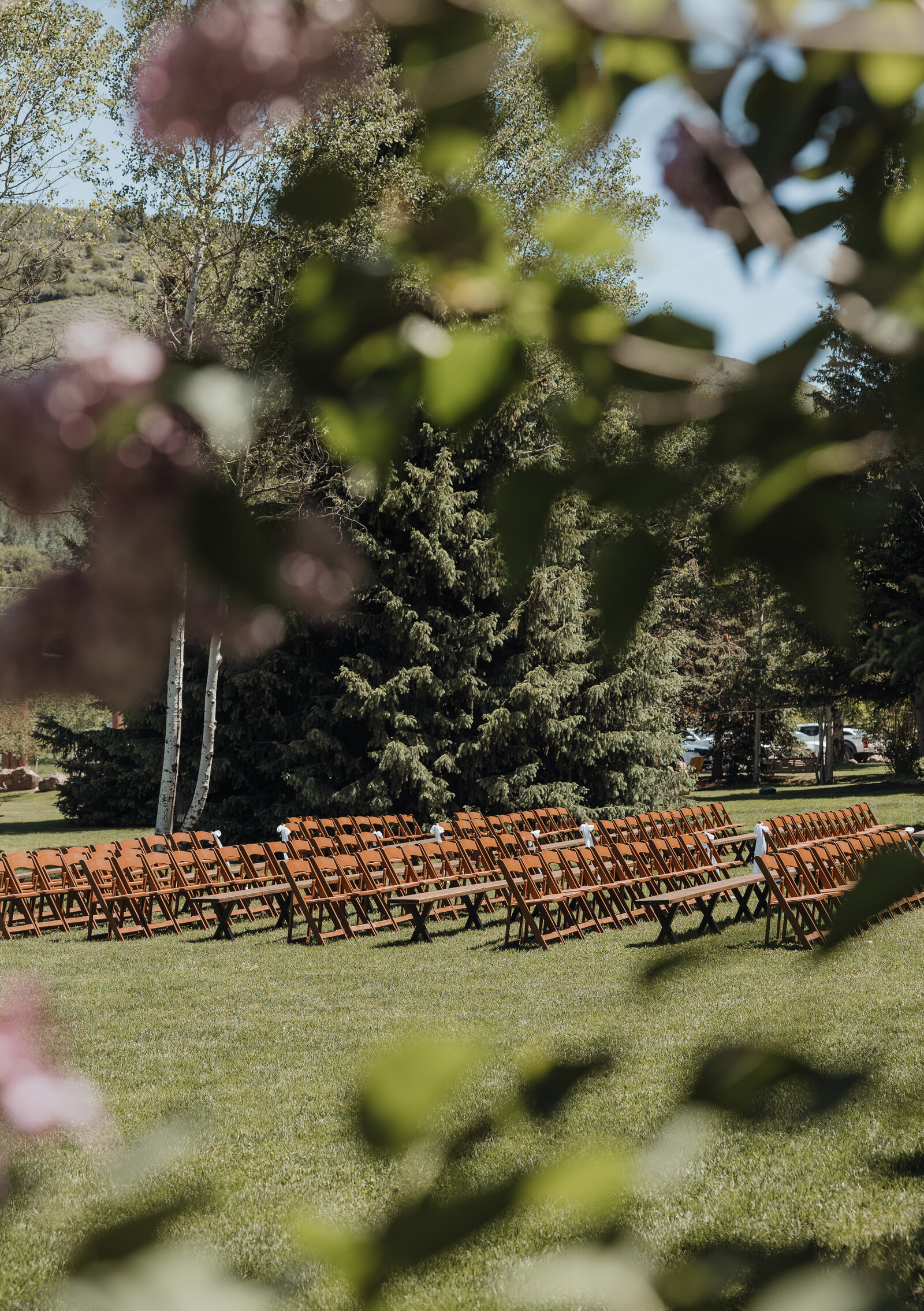 EmilyStewartPhoto-3