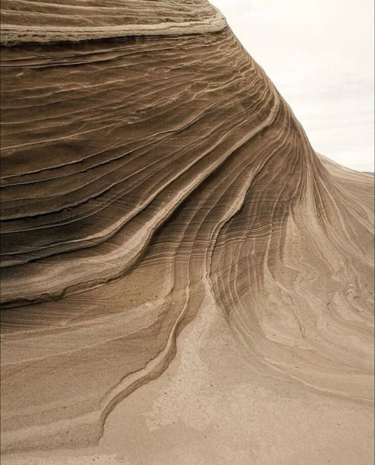 1173bfaeda39885c6b2fb7063420c583