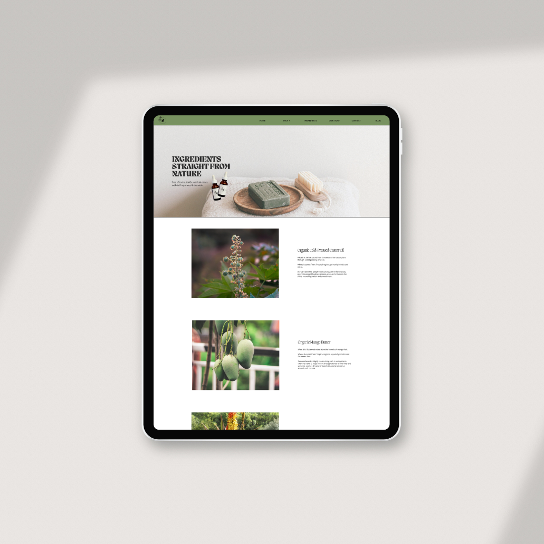 washington dc web developer