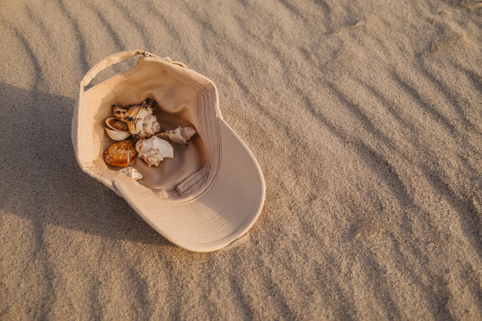 The Breeze - Photo 2