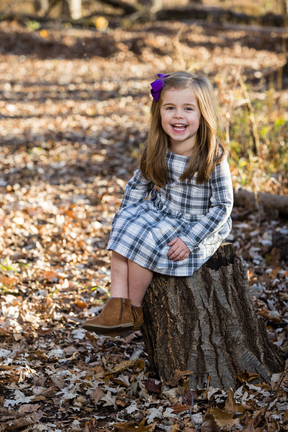 A little girl in a plaid dress is sitting on a tree stump