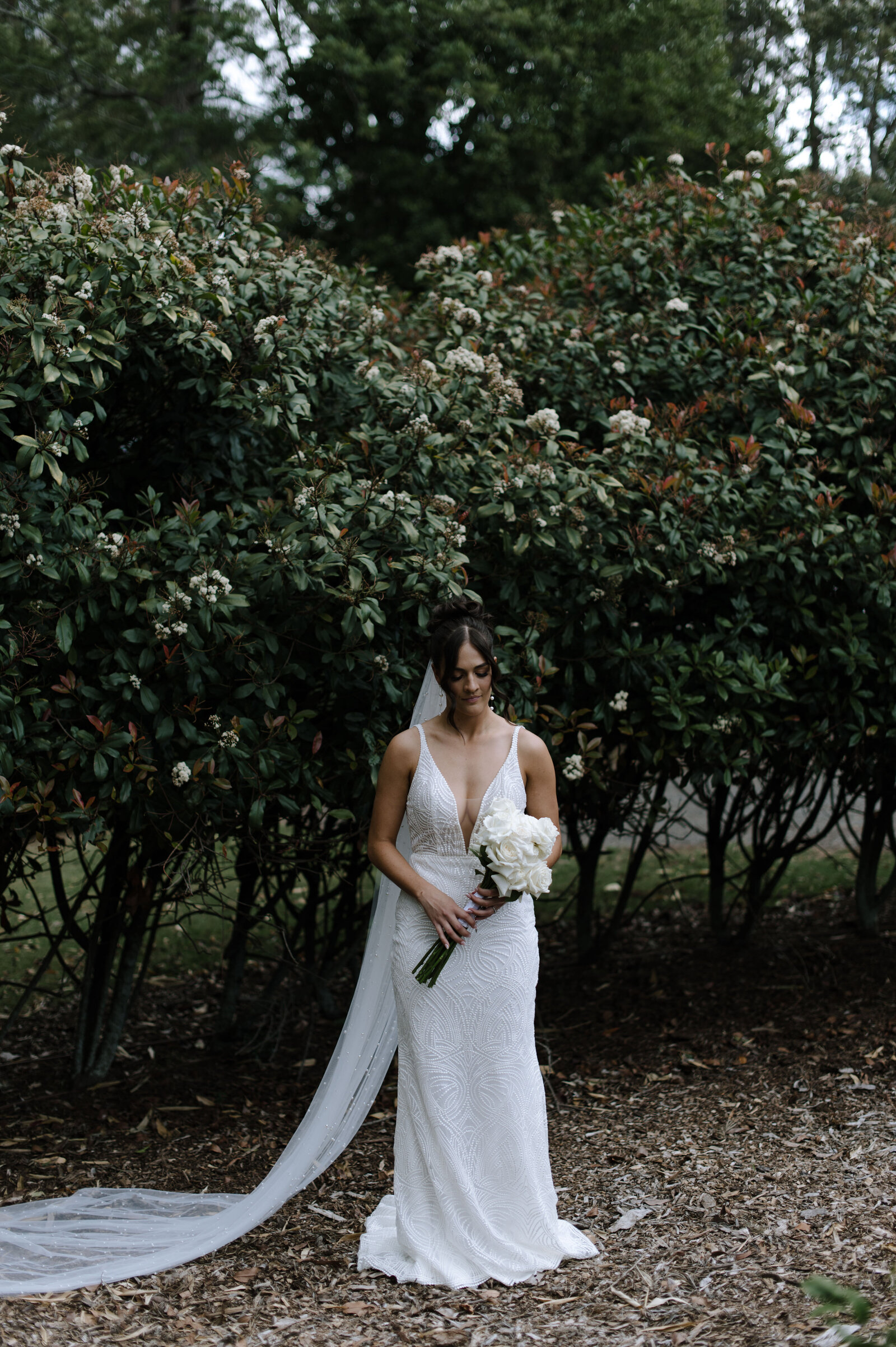 SneakPeek_0048
