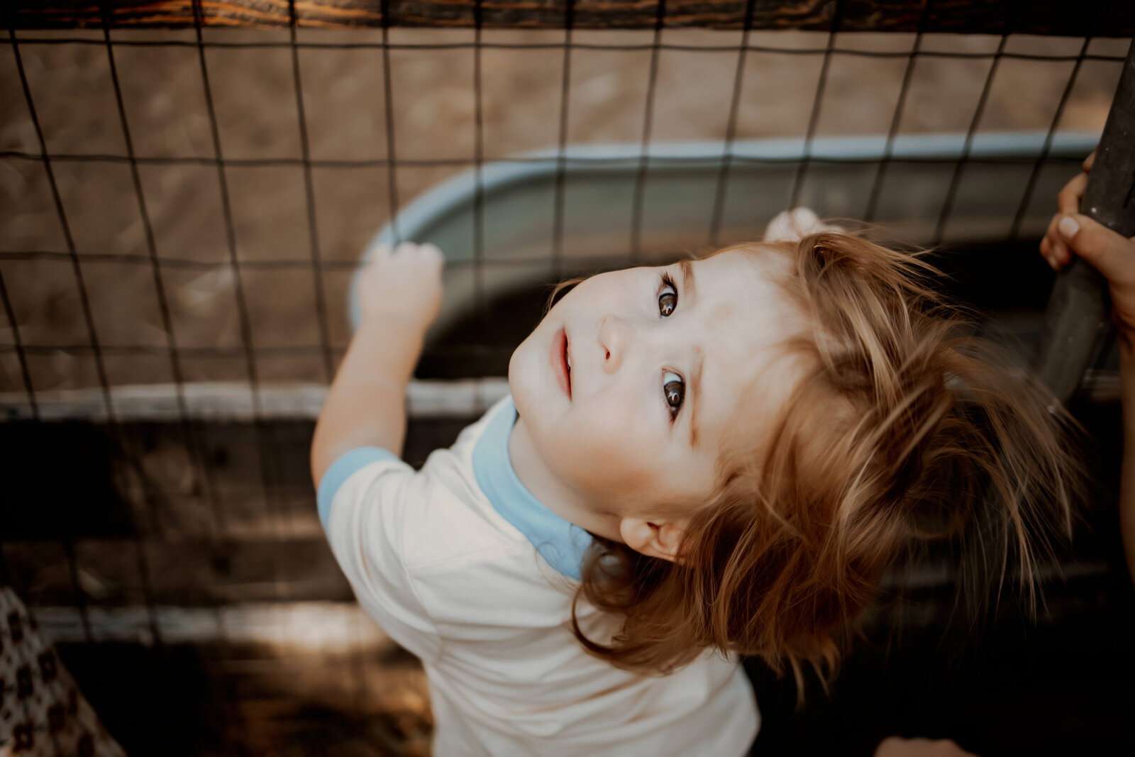 Toddler looking up into the sky while standing at a fence on a farm