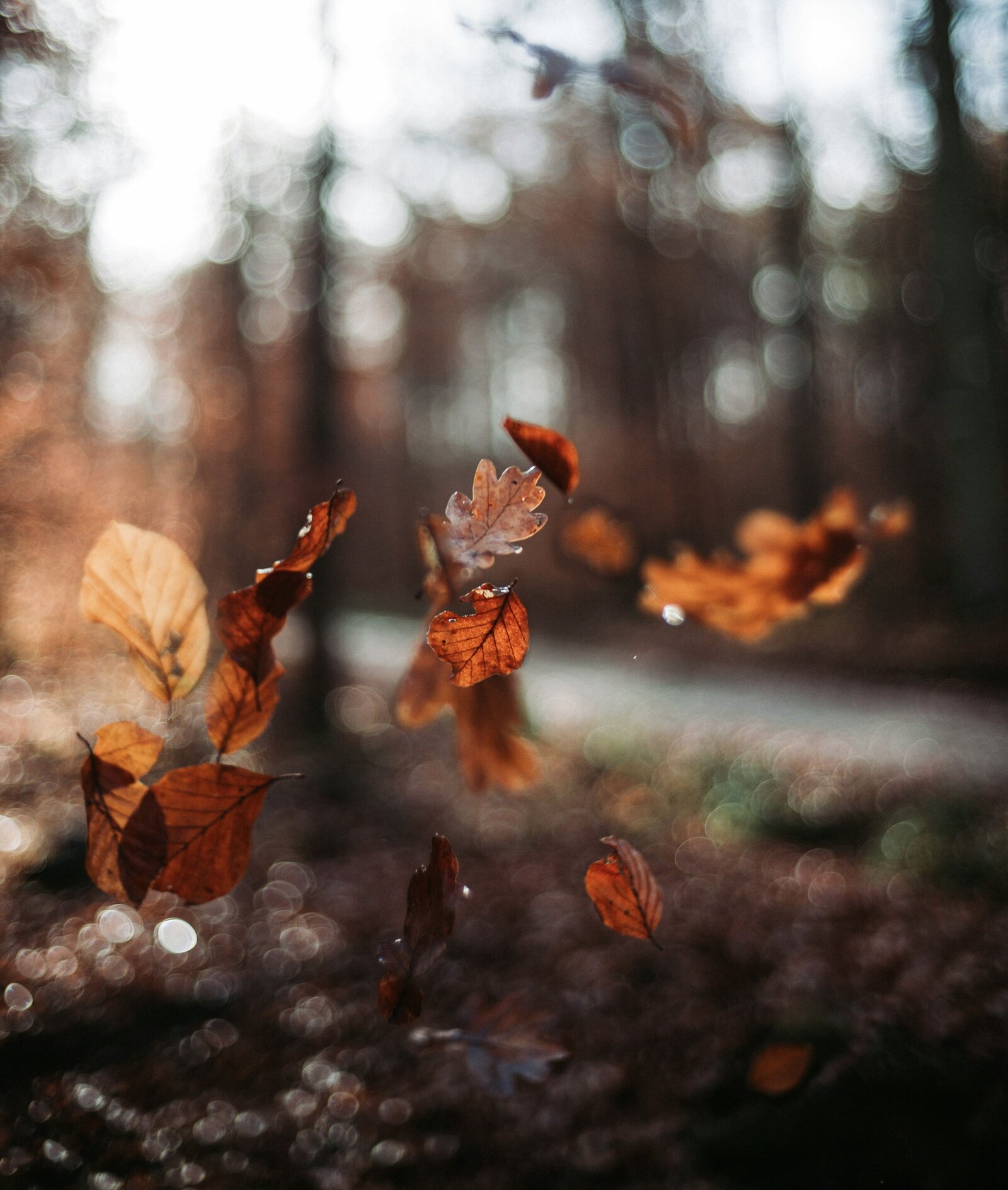 E30BC837-7B40-4F42-8E14-4770C4171F4B 4