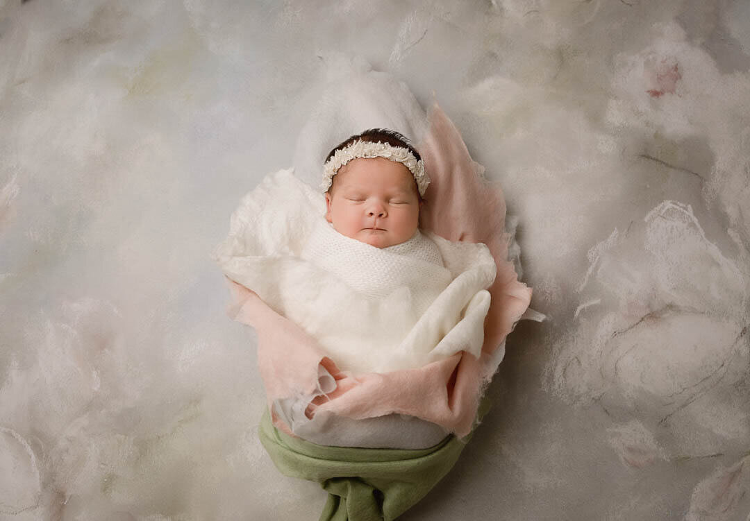 marshall-minnesota-newborn-photographer-photography-1