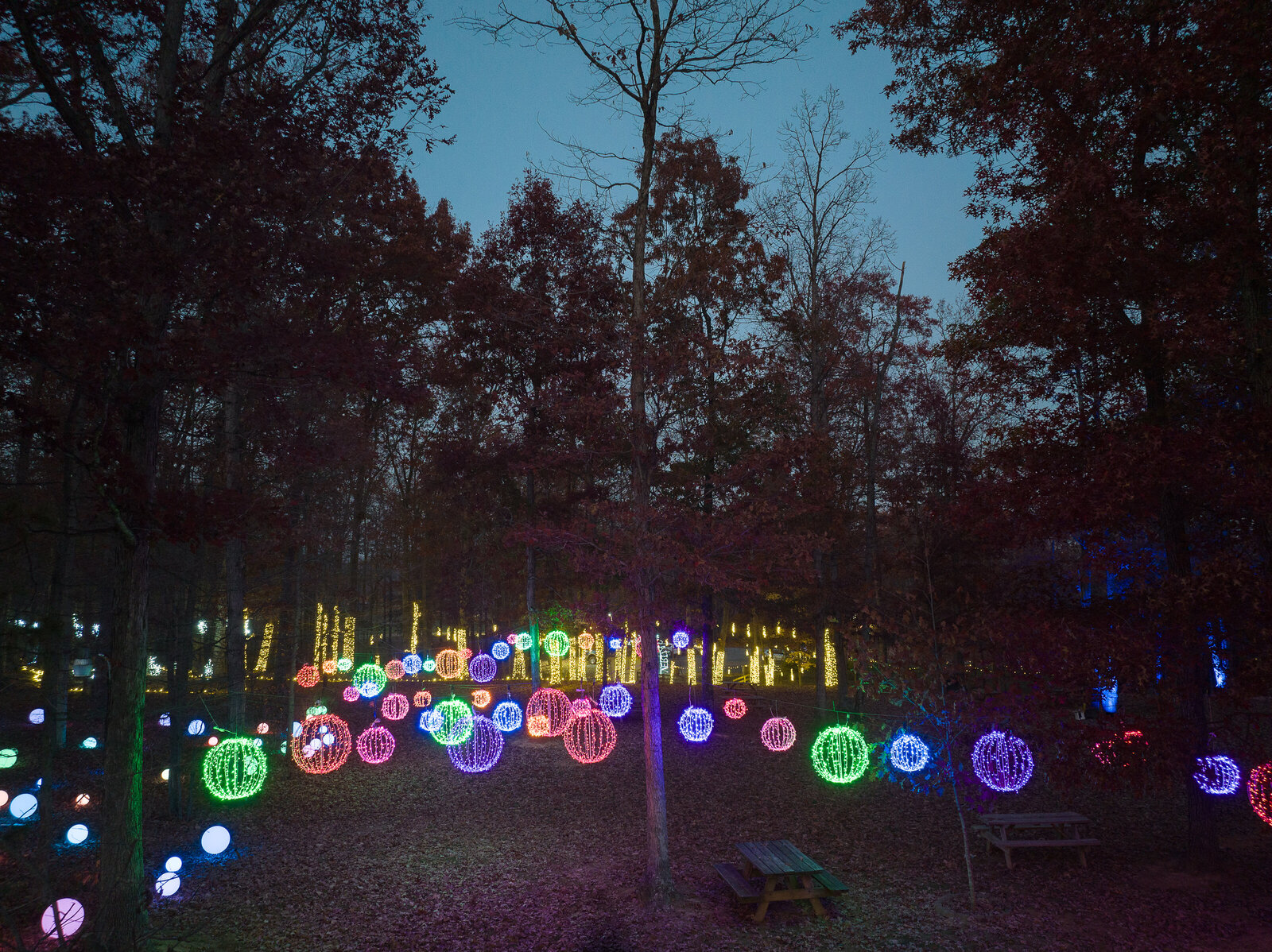 veritas illuminated nov2023 JackLooney-0043