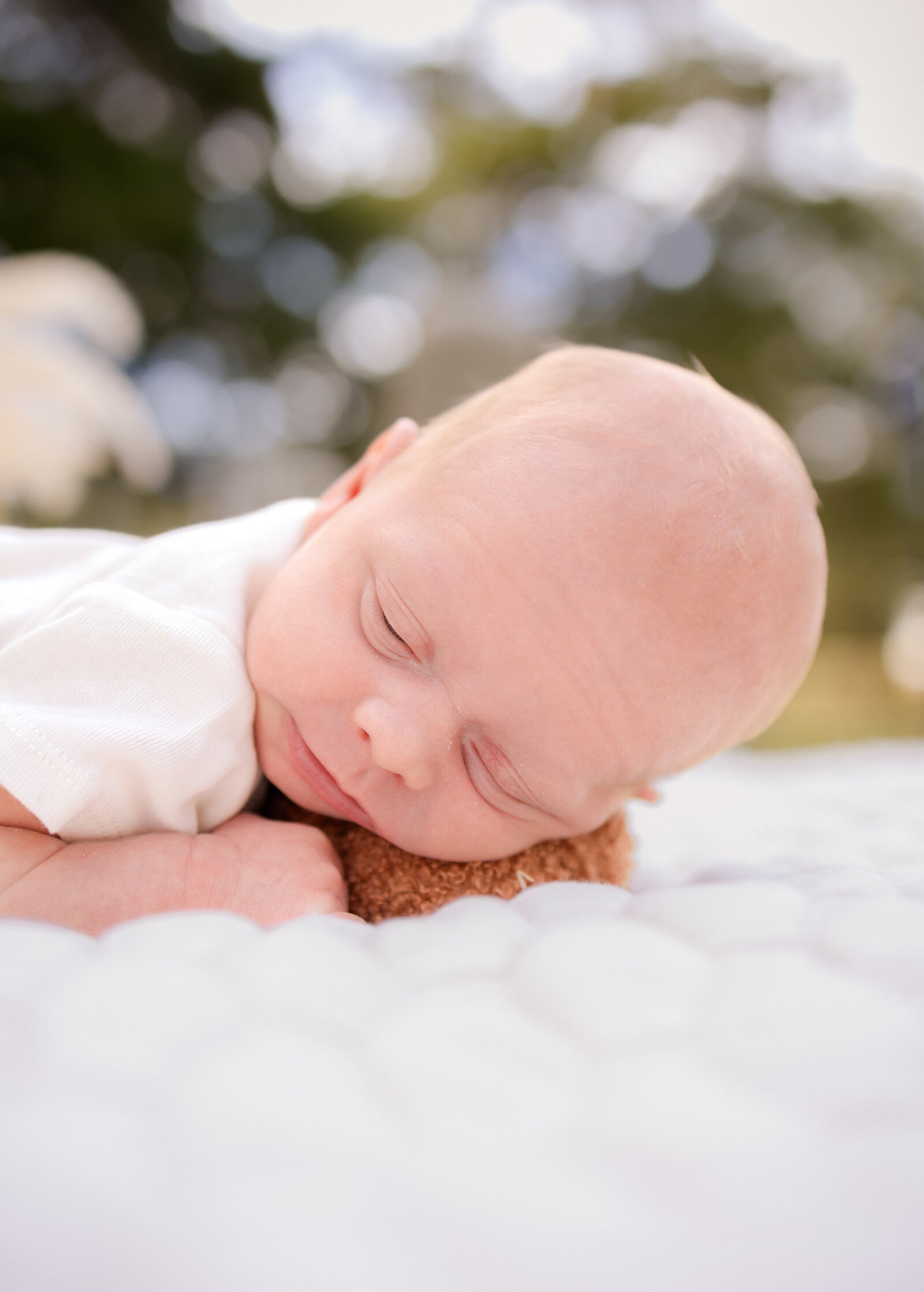 cannon family fall mini | allisonnicole-45