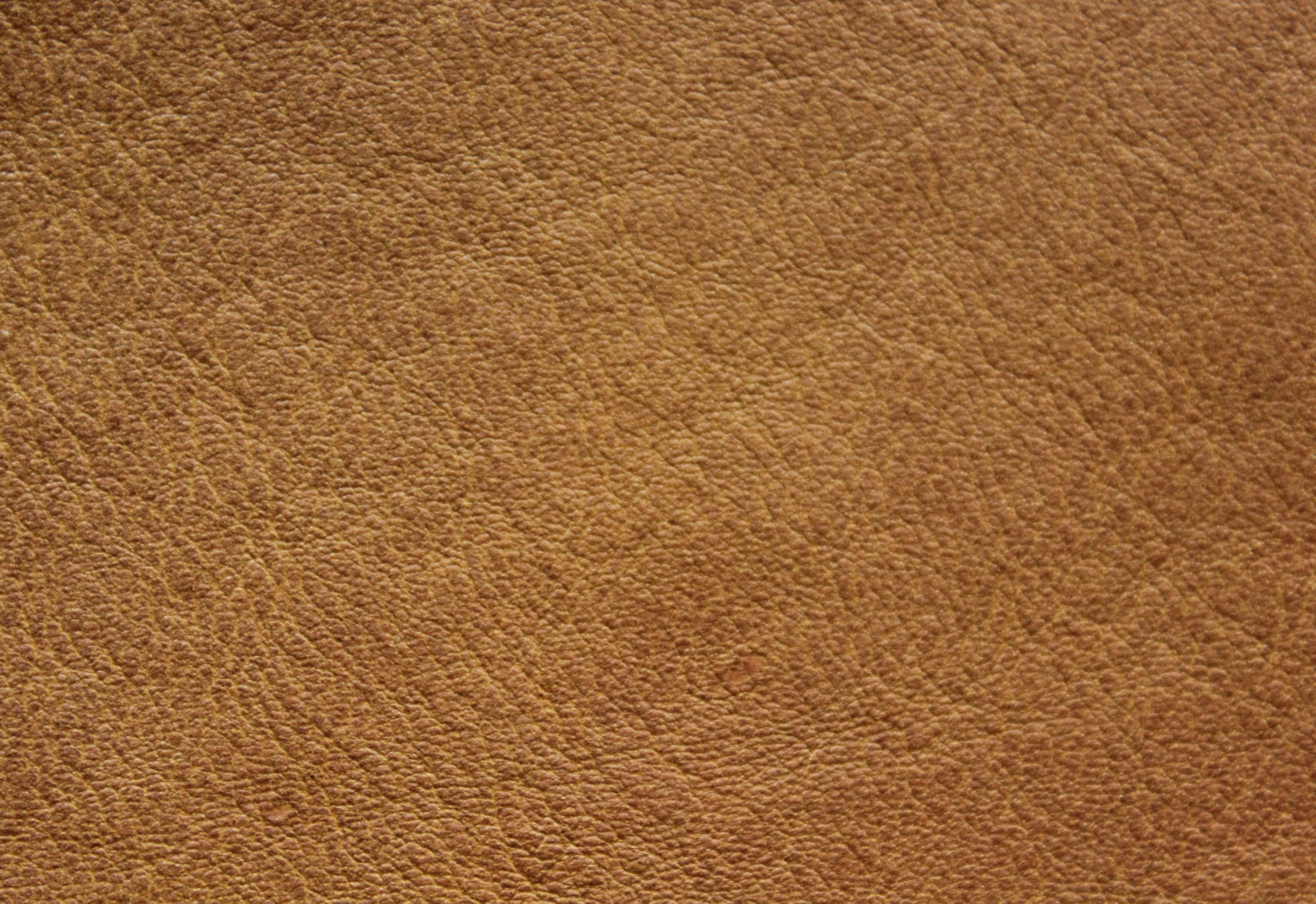 Dixieland Praline Leather