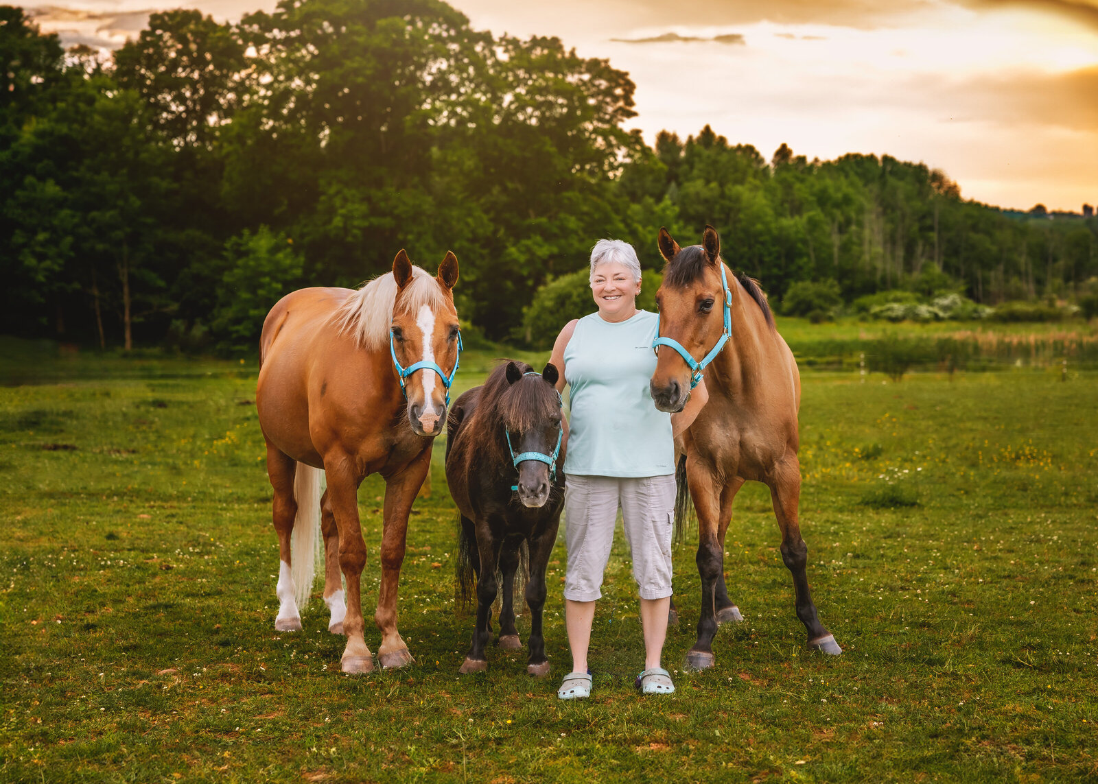 horses50 copy