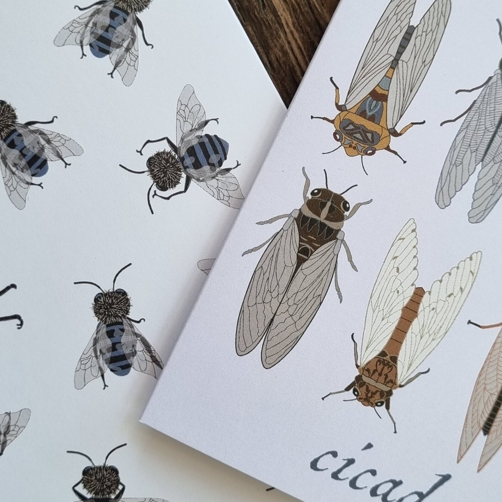 Australian bug cicada surface design greeting cards for sale Etsy Green Acre Designs