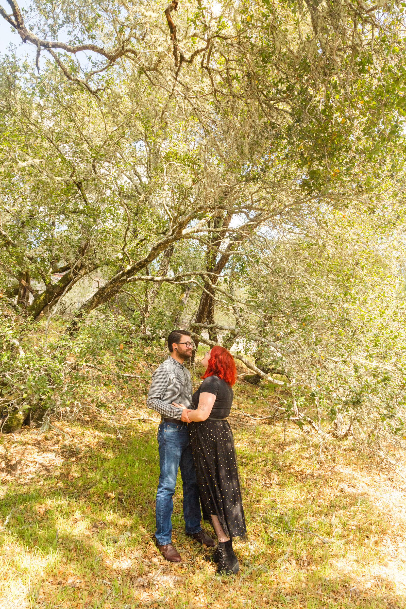 An tattooed engaged couple poses for photos in a redwood forest in Santa Cruz, Ca.