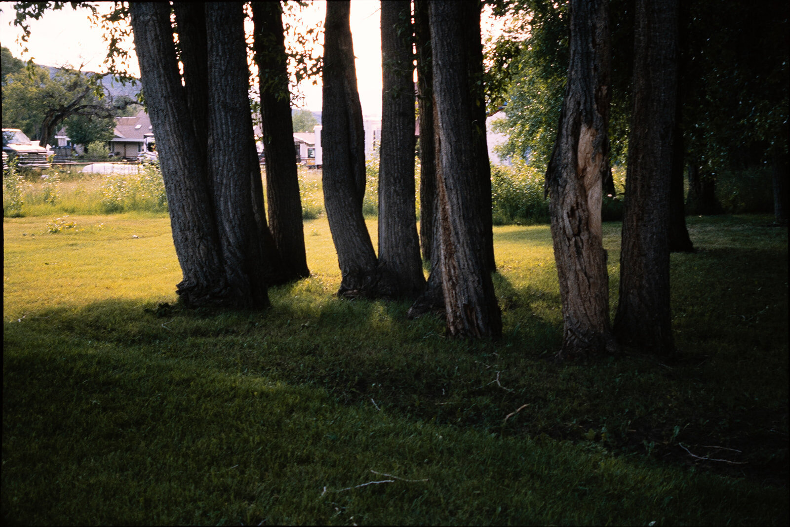 liv + kicker_film-12