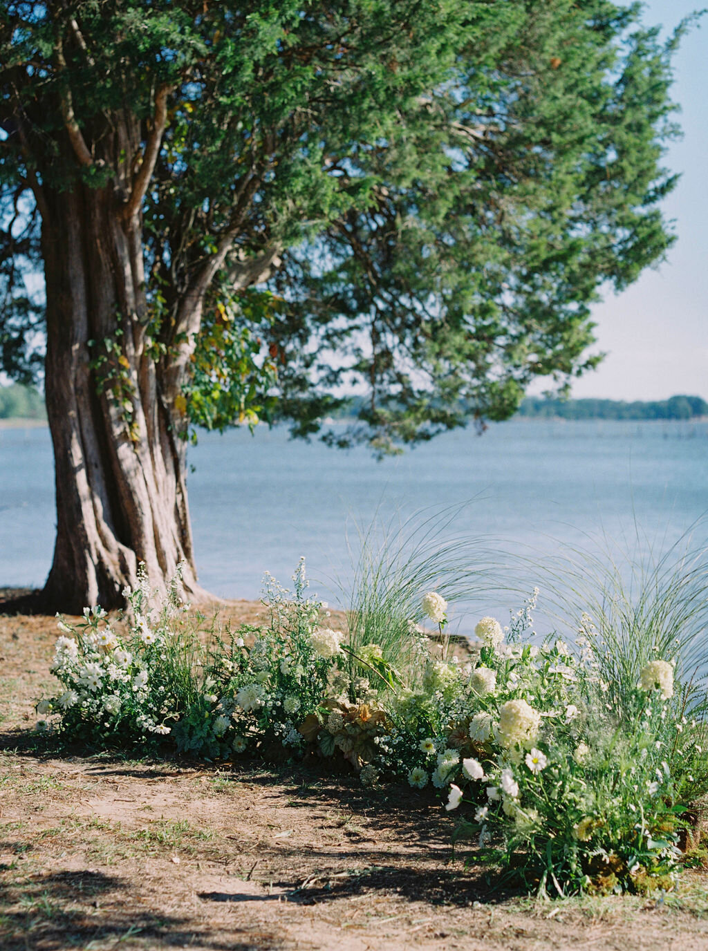 88Kate Campbell Floral Brittland waterfront tented wedding by Molly McManus photo