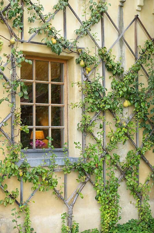 Magazine fotograaf | Trui Heinhuis Fotografie