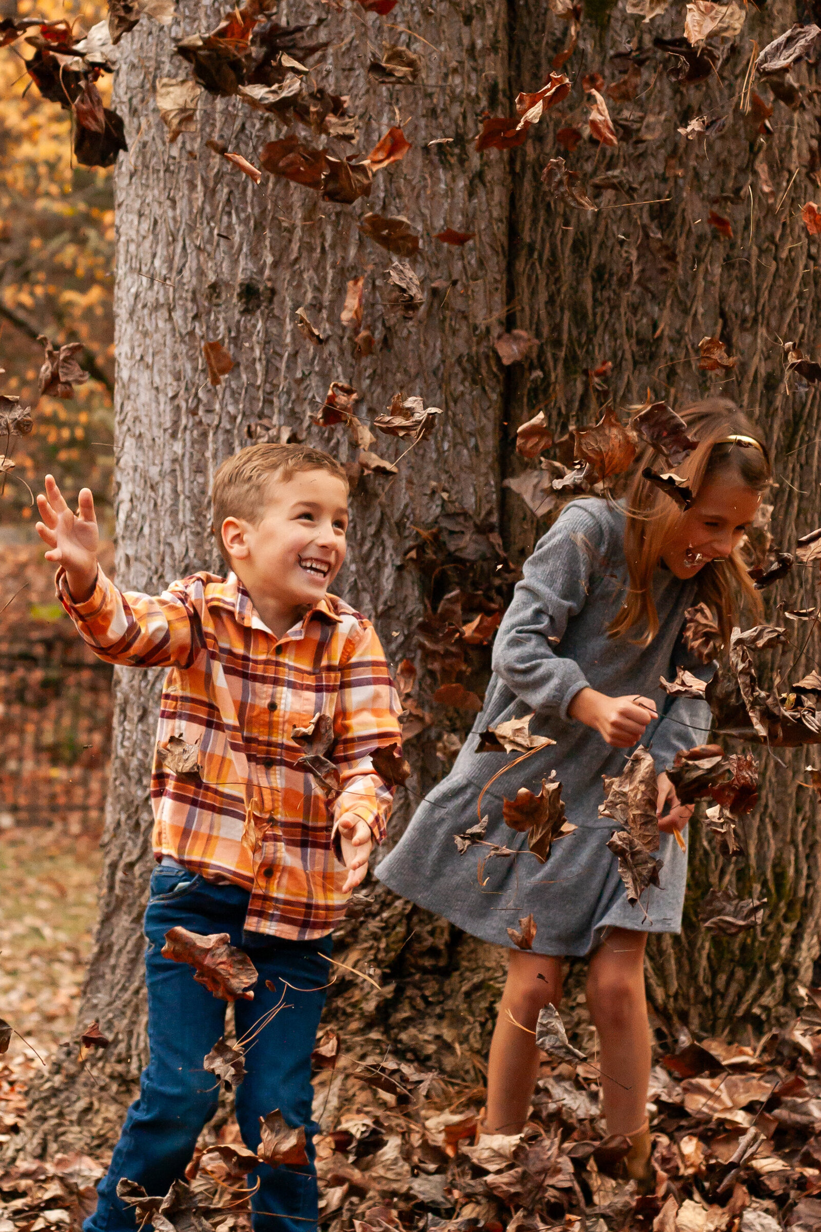 Fall photo Pigeon Forge TN