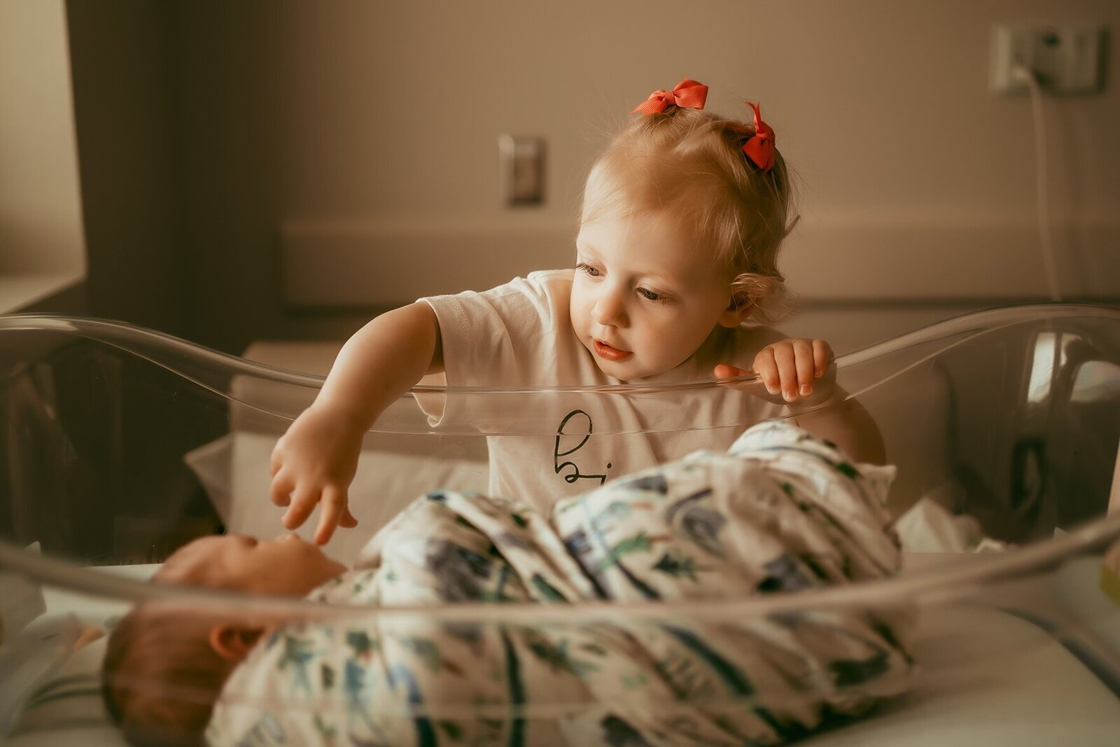Lansing family photographer 004