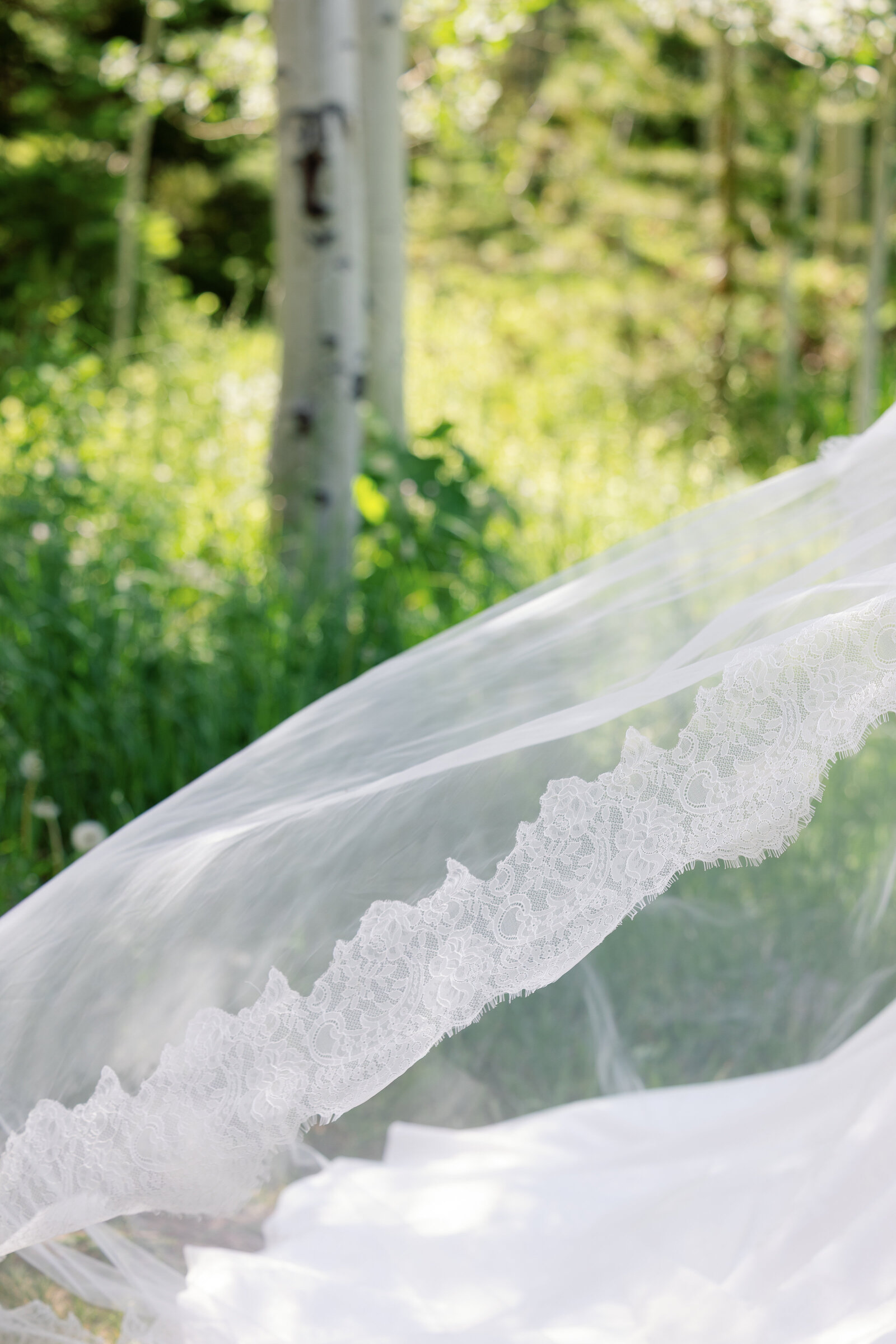 cassidymichael_coloradowedding_stillsbytrinity-10