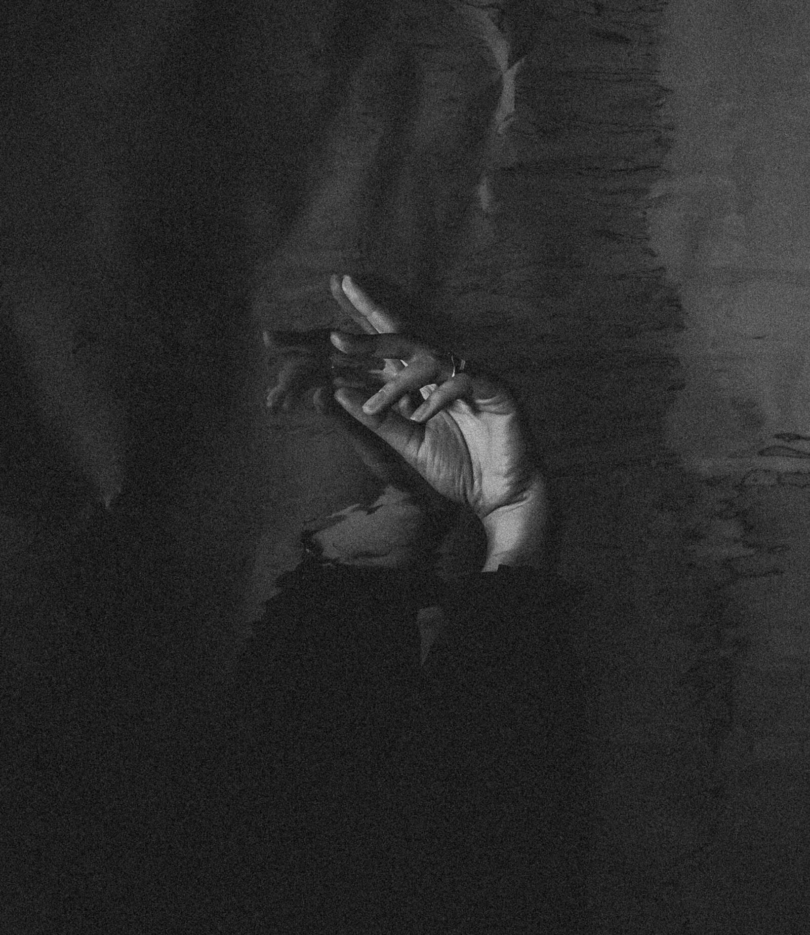 cat-han-UNcXxW0ZFXw-unsplash