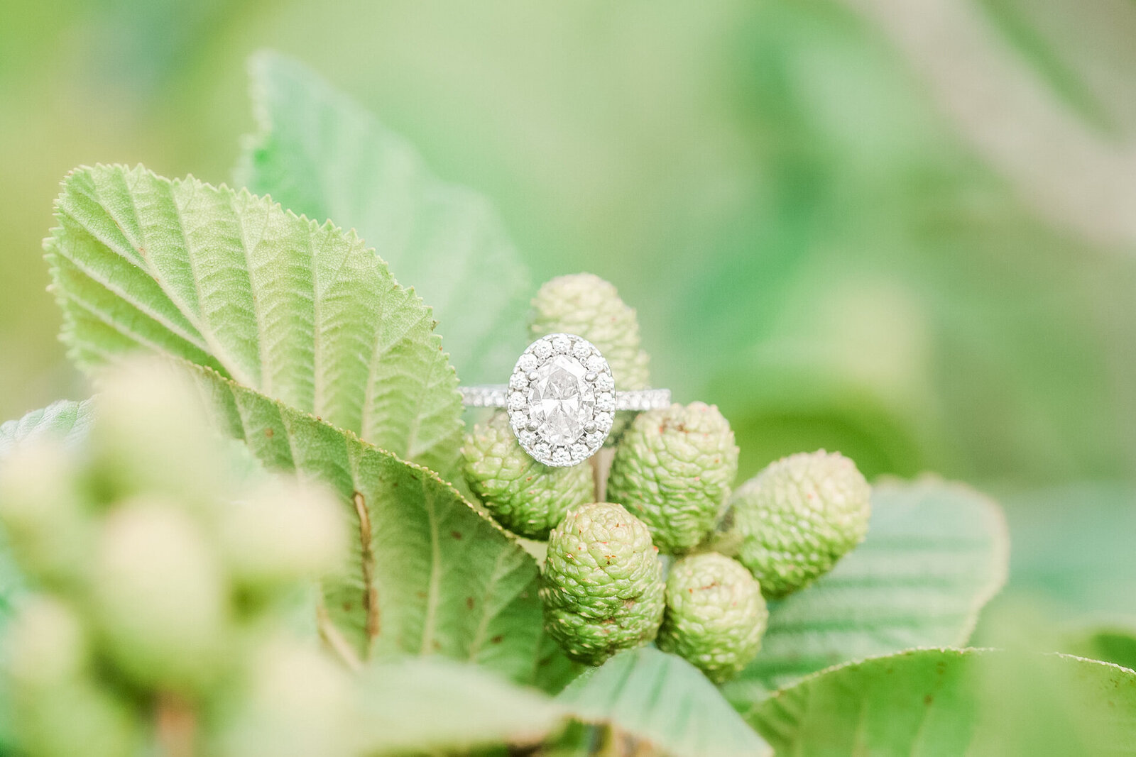 ardgour-scotland-highlands-engagement-photos265