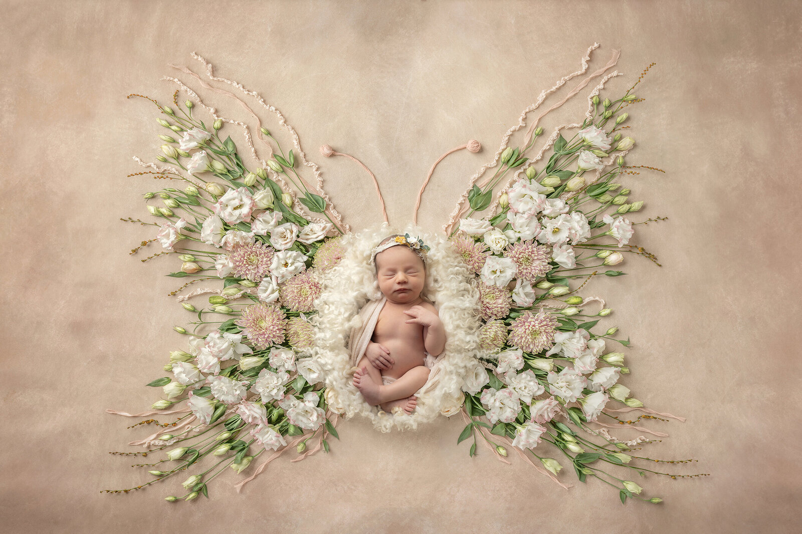 Newborn girl in white rose butterfly