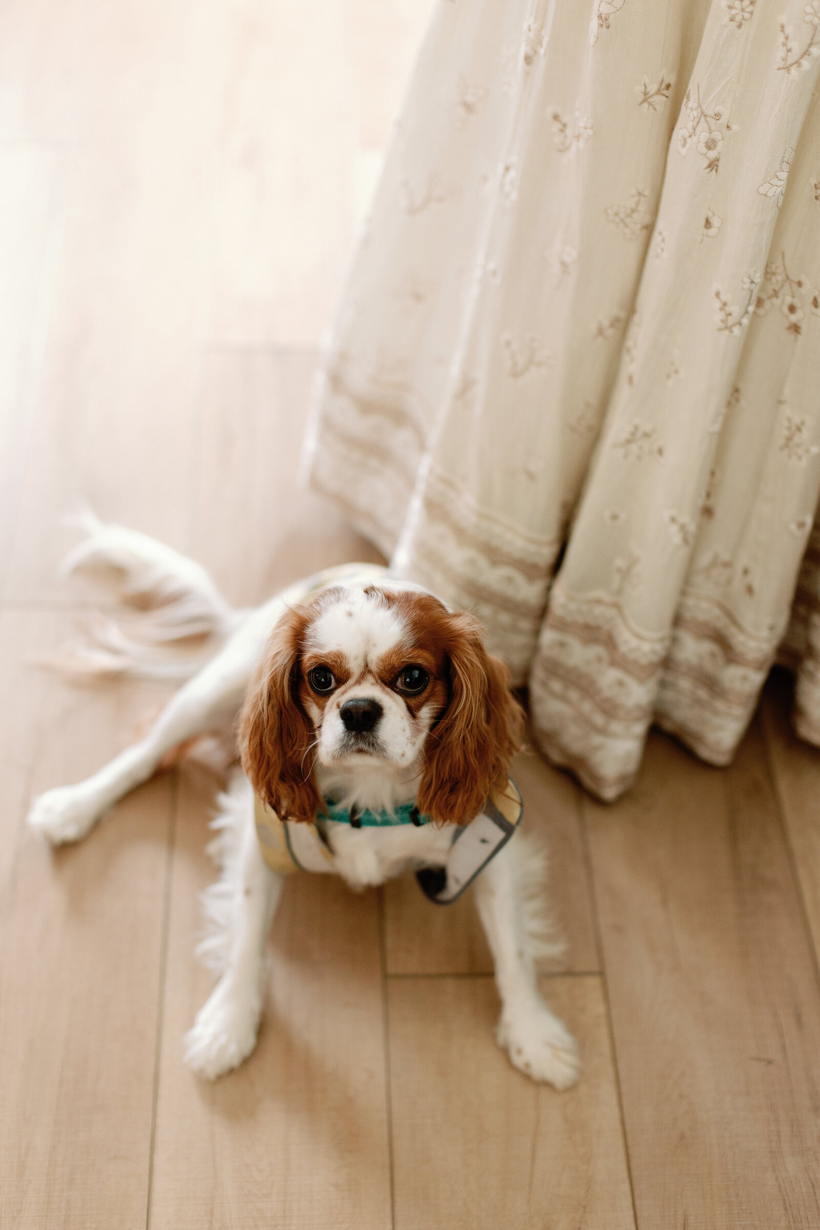 indian-micro-wedding-catskills-hudson-valley-787