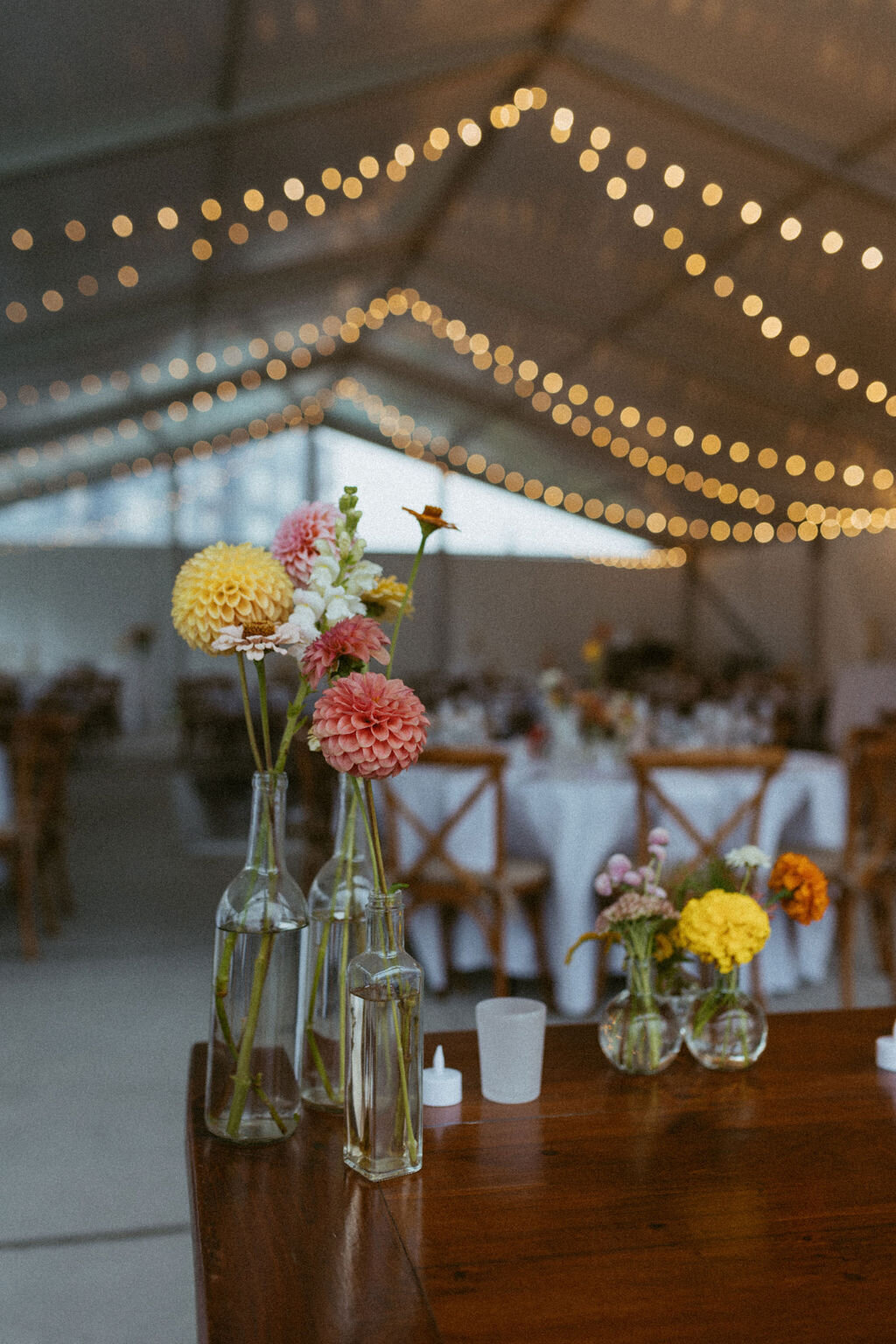 AbigailElizabethPhoto-3027