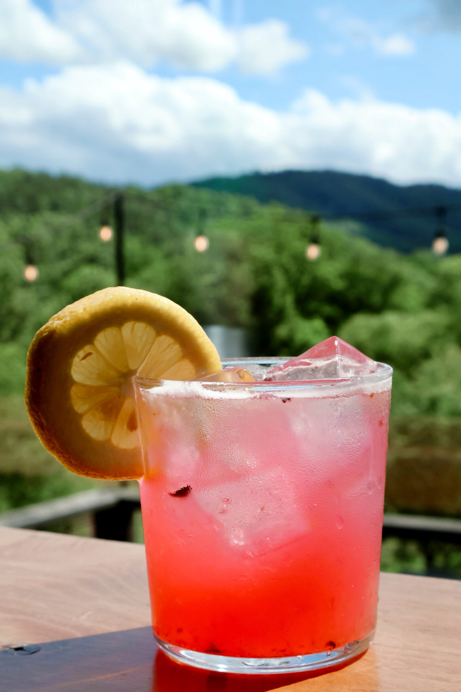 blueberry cocktail