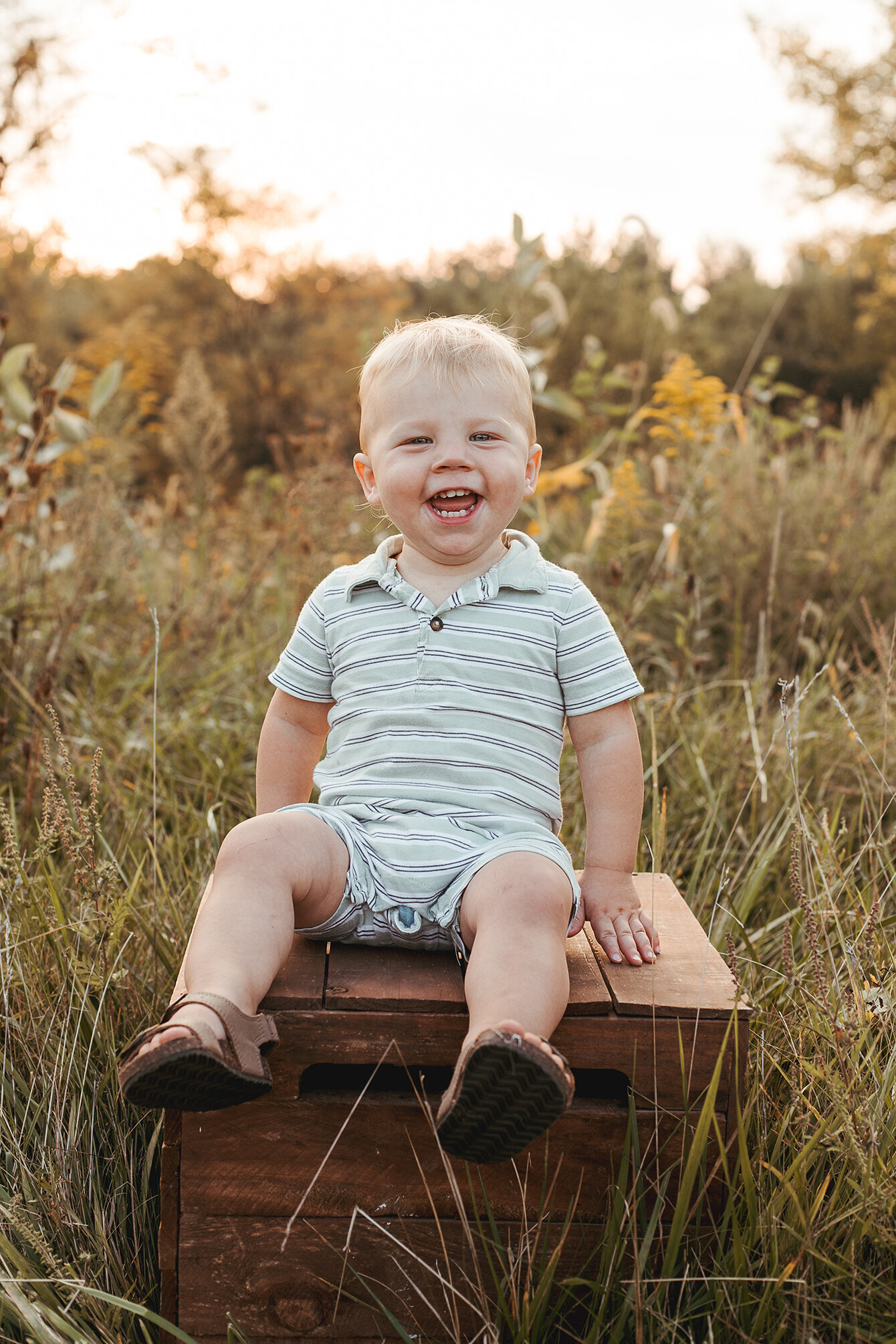 Little boy sitting on a wooden crate in the middle of a meadow. Sun is setting. The toddler is broadly laughing at the camera. Childhood Photography.