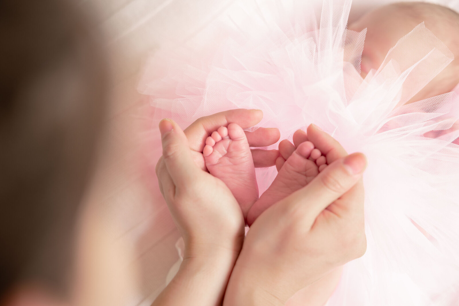 5W4A1394-Enhanced-NR