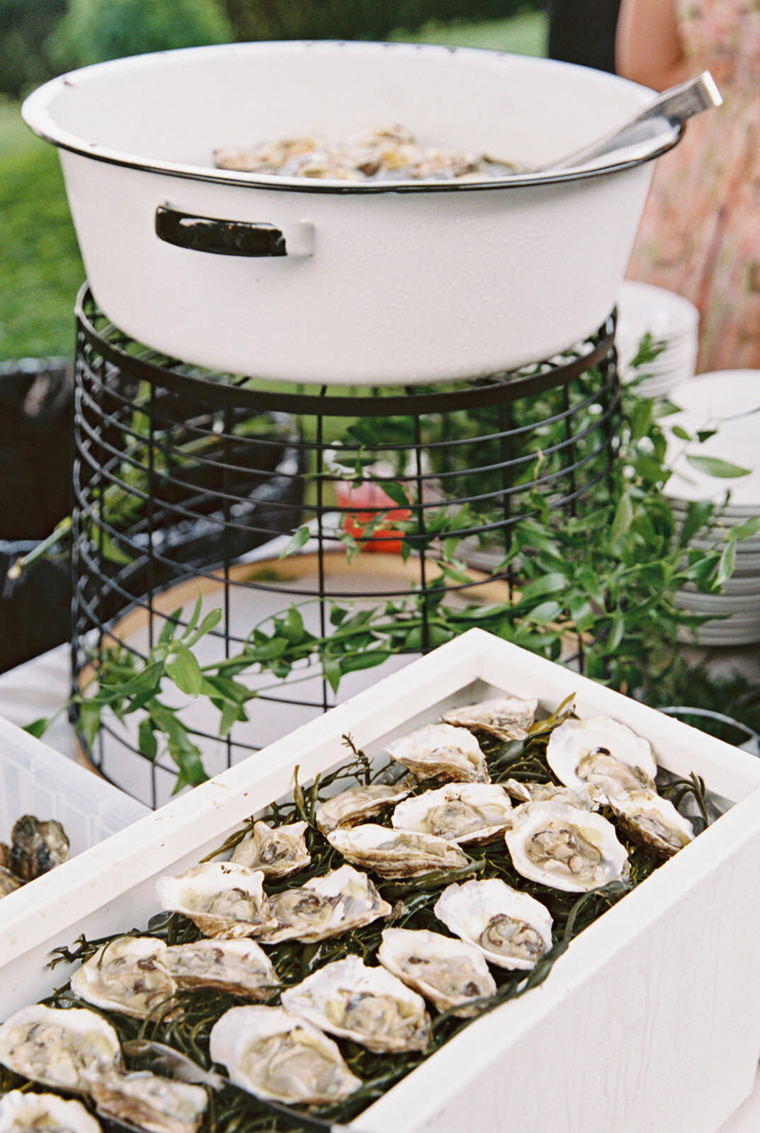 Pink destination wedding in newport-Halie Child Photography-59