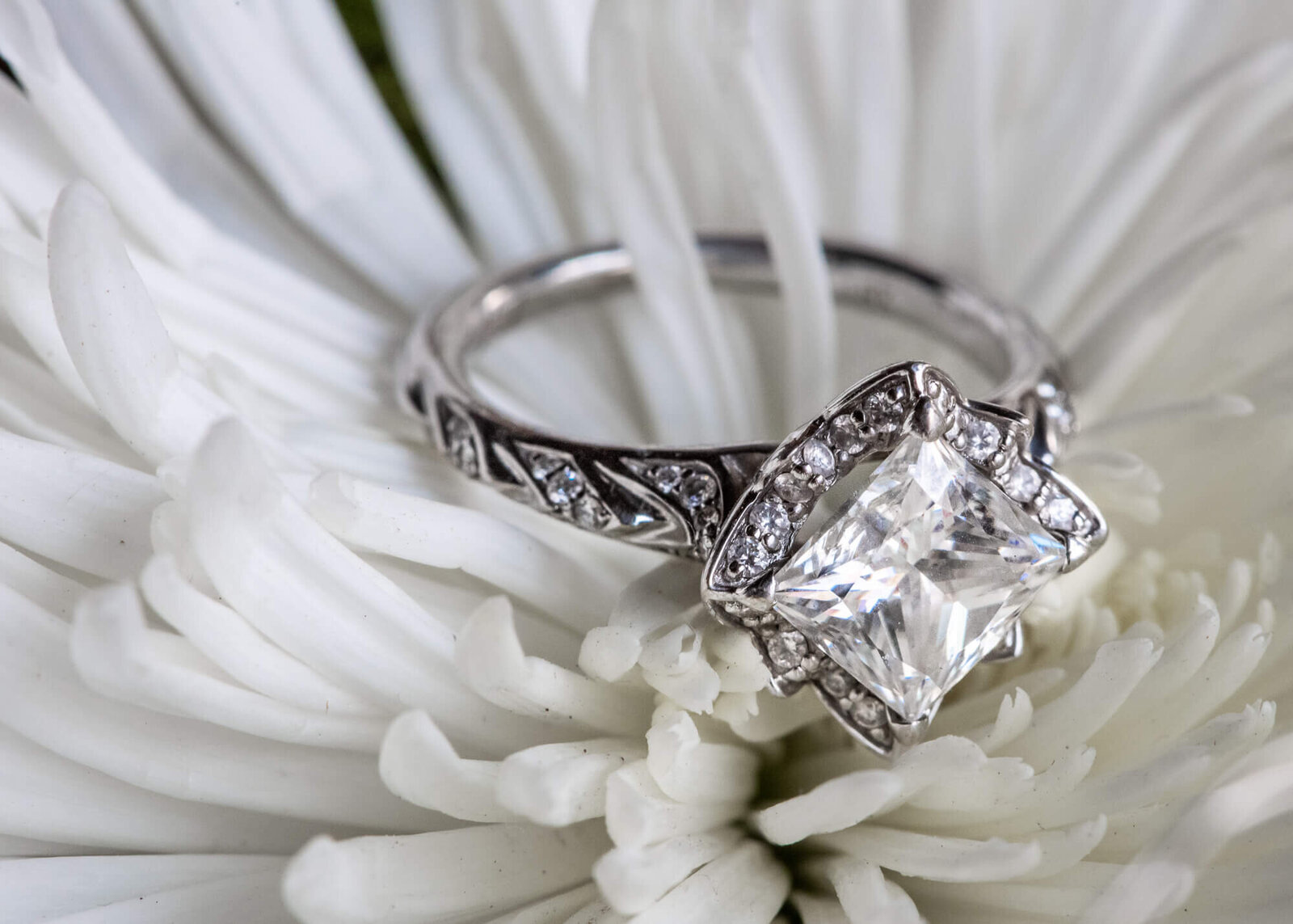 macro close-up of  engagement ring