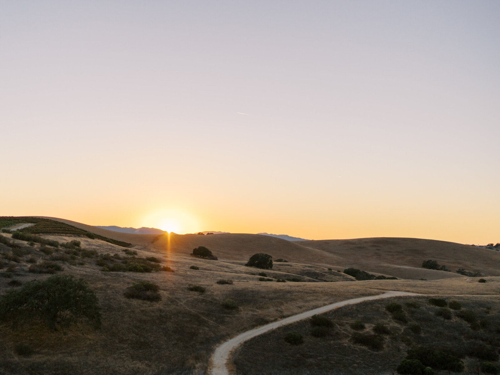 Paso Robles Wedding Photographer-0086