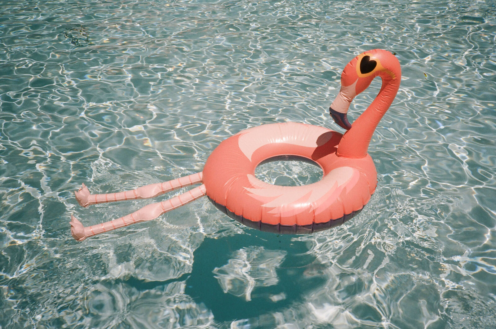 Flamingo pool float floating in shimmering summertime pool