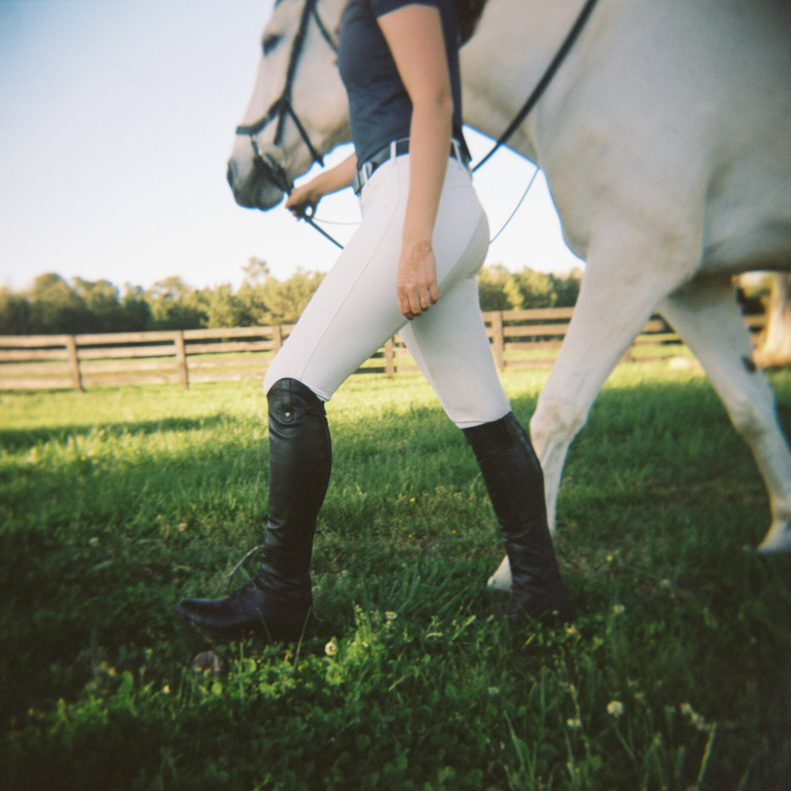 nc-equine-photographer-daniellejamesstudios-9