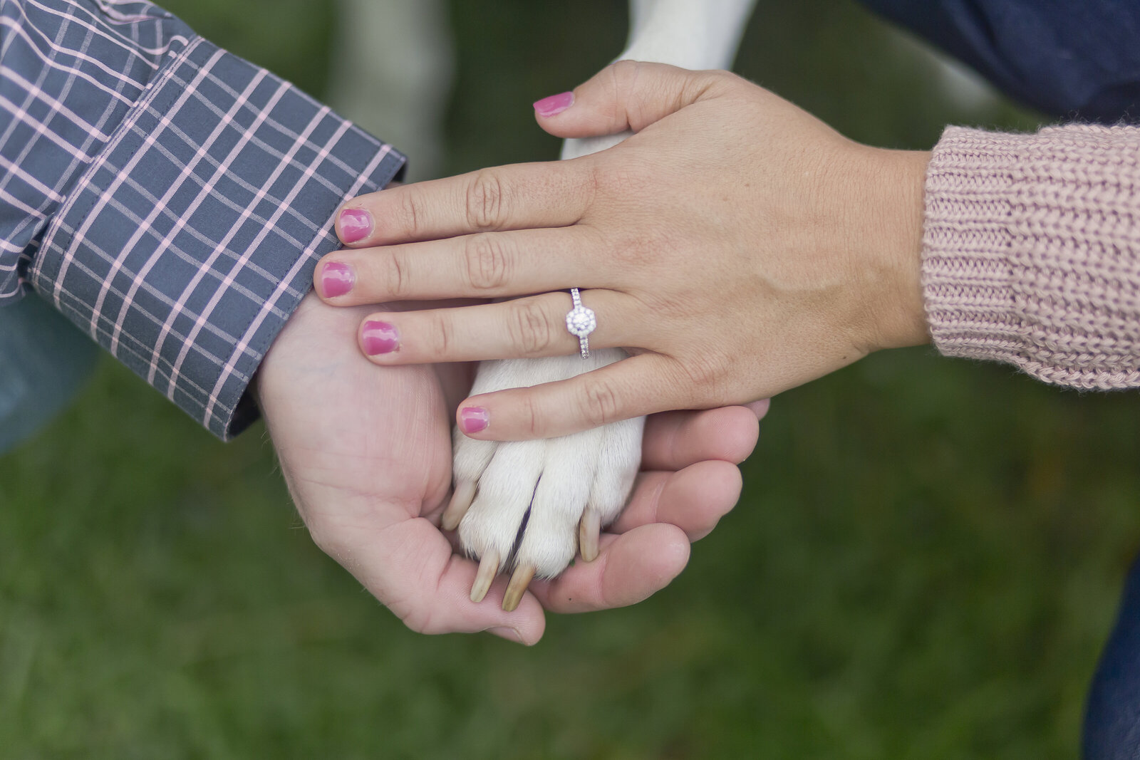 Seara and David's Engagement Session (53)