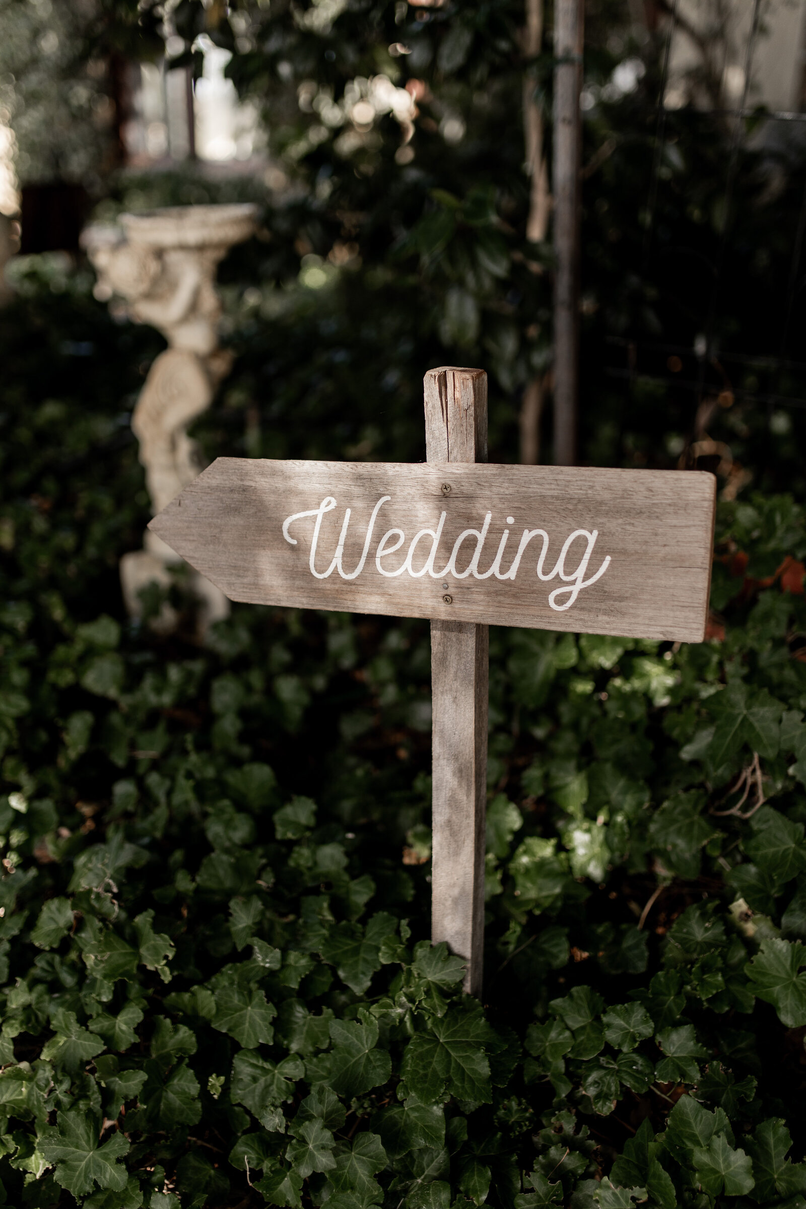 250330-Ilijana-Stephen-Rexvil-Photography-Adelaide-Wedding-Photographer-3